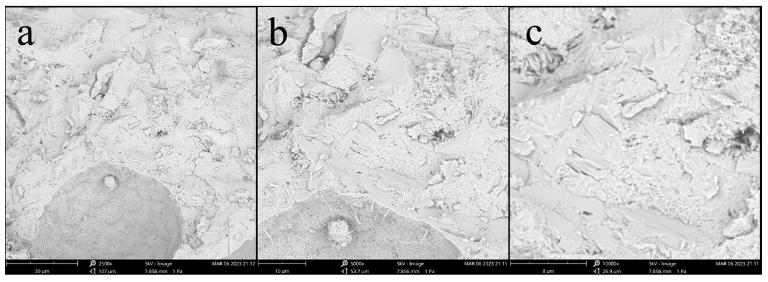 Sustainability 15 09134 g008 550