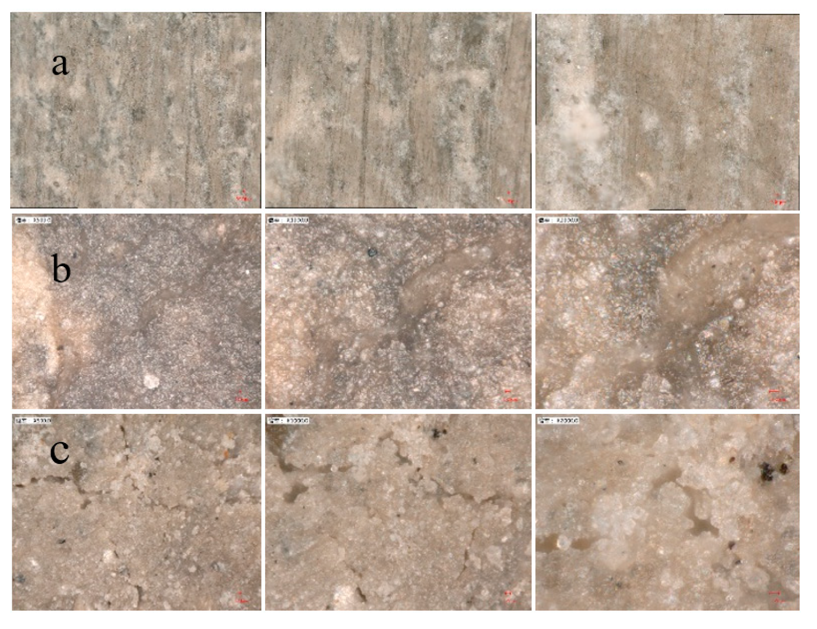 Sustainability 15 09148 g013