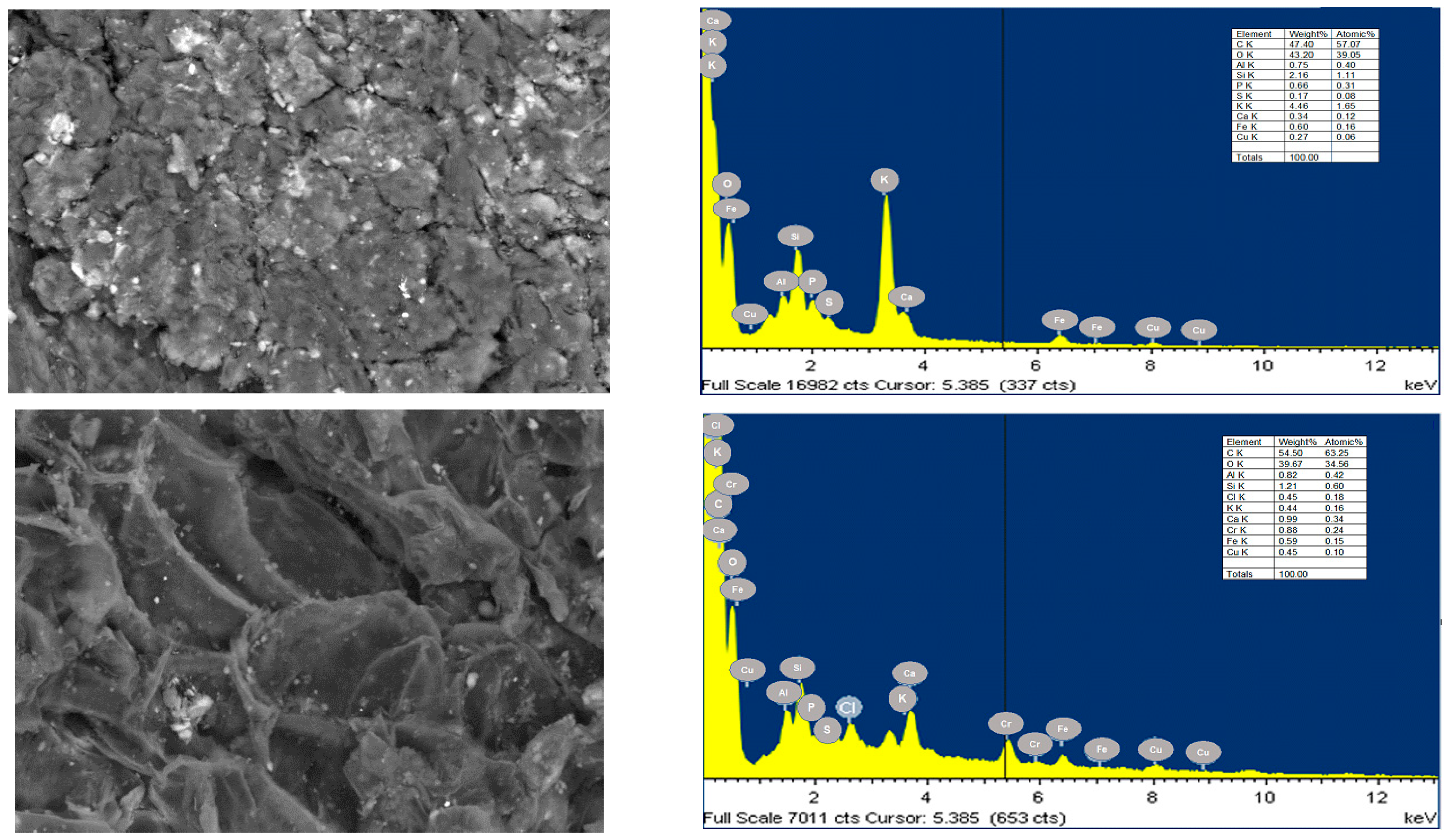 Sustainability 15 09156 g001 Sustainability 15 09156 g001