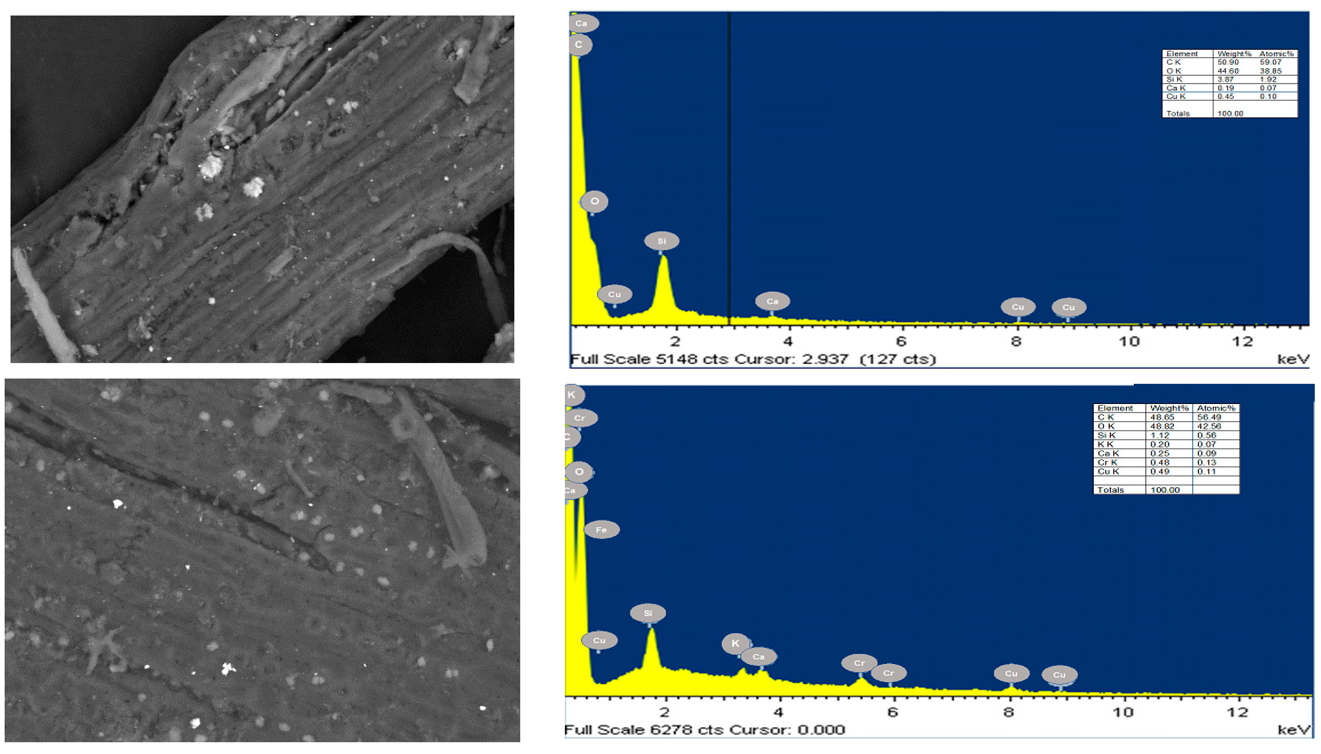 Sustainability 15 09156 g002 Sustainability 15 09156 g002