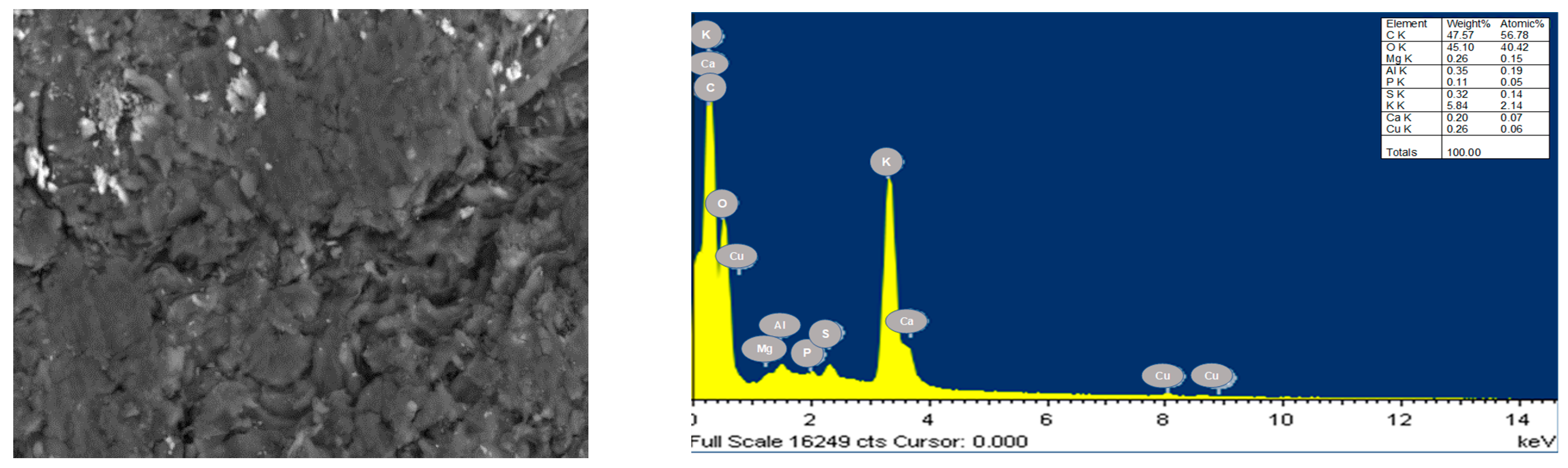 Sustainability 15 09156 g004a Sustainability 15 09156 g004a