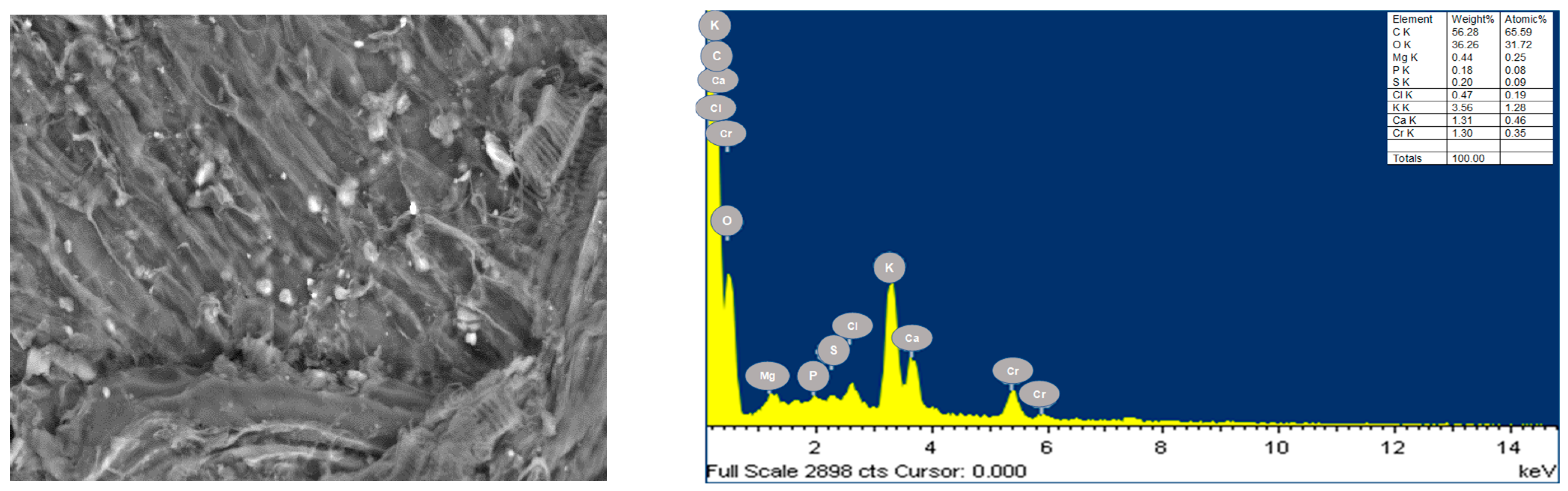Sustainability 15 09156 g004b Sustainability 15 09156 g004b