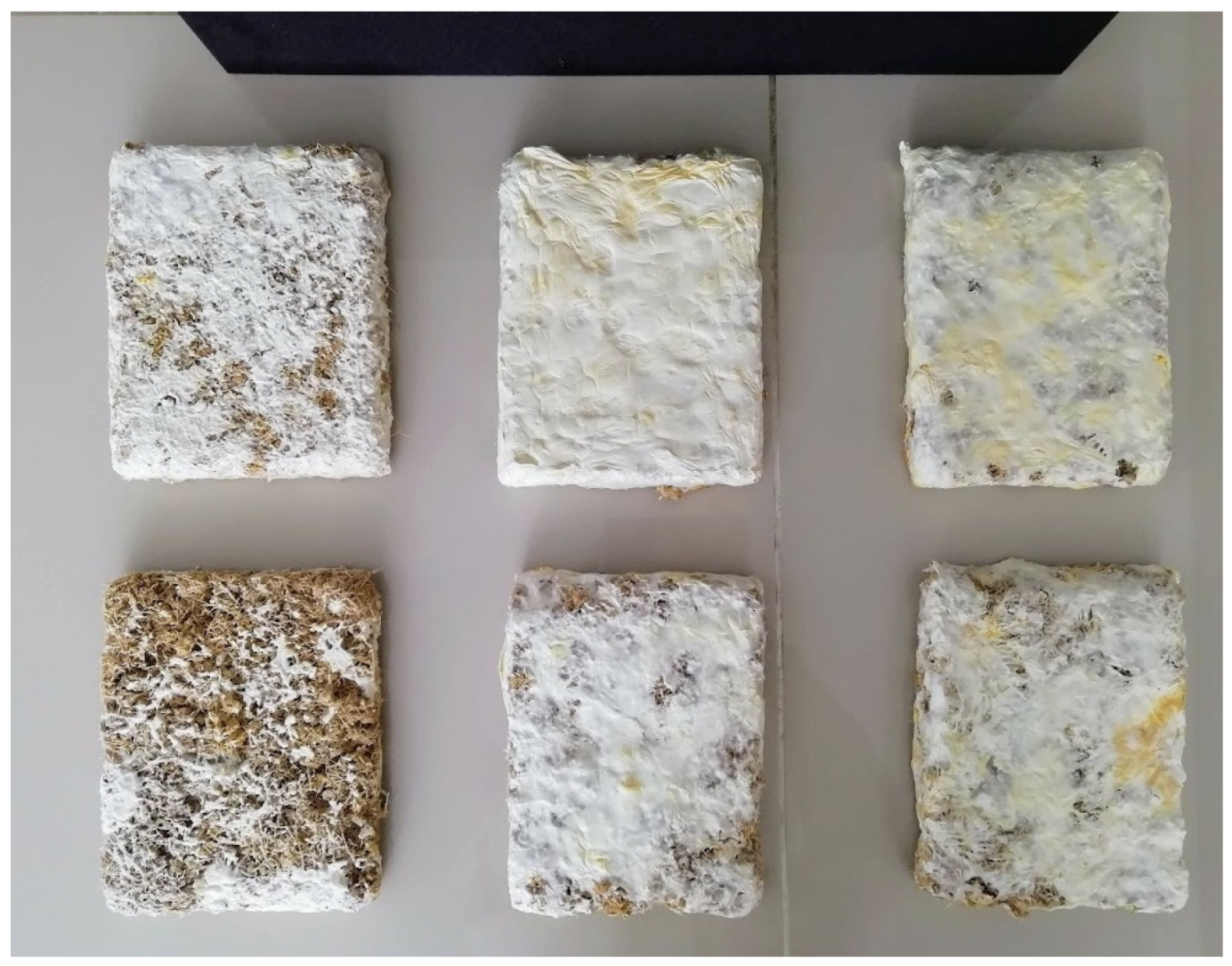 Sustainability 15 09157 g003