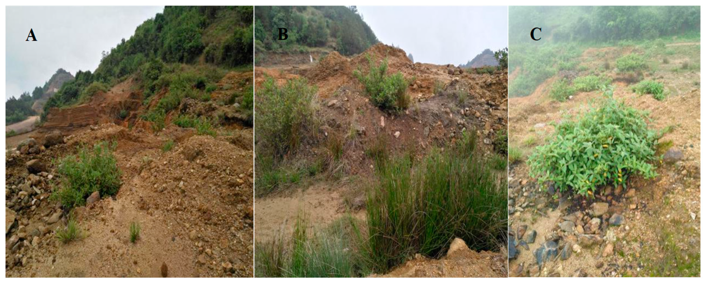 Sustainability 15 09179 g001 Sustainability 15 09179 g001