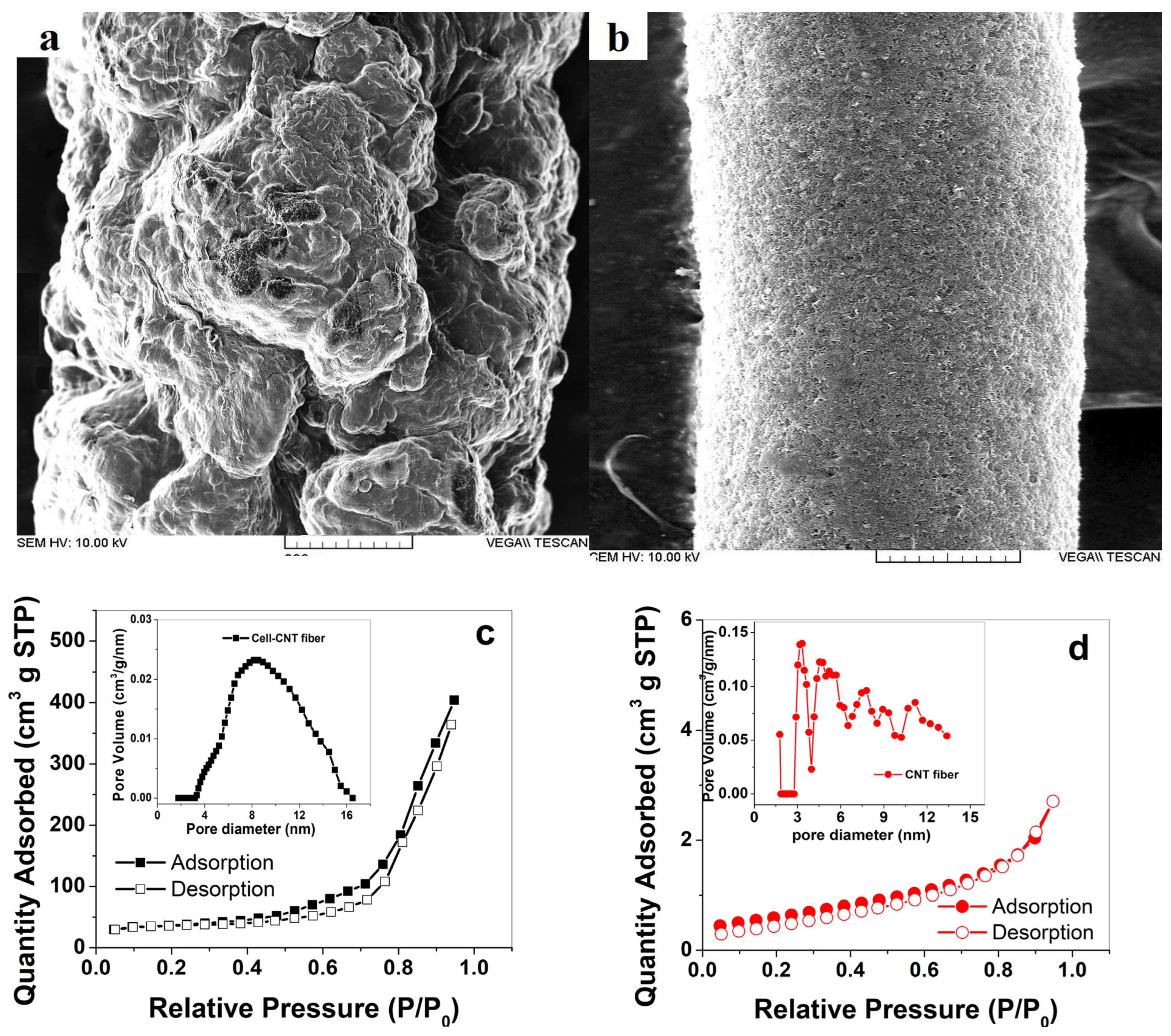 Sustainability 15 09227 g001 Sustainability 15 09227 g001