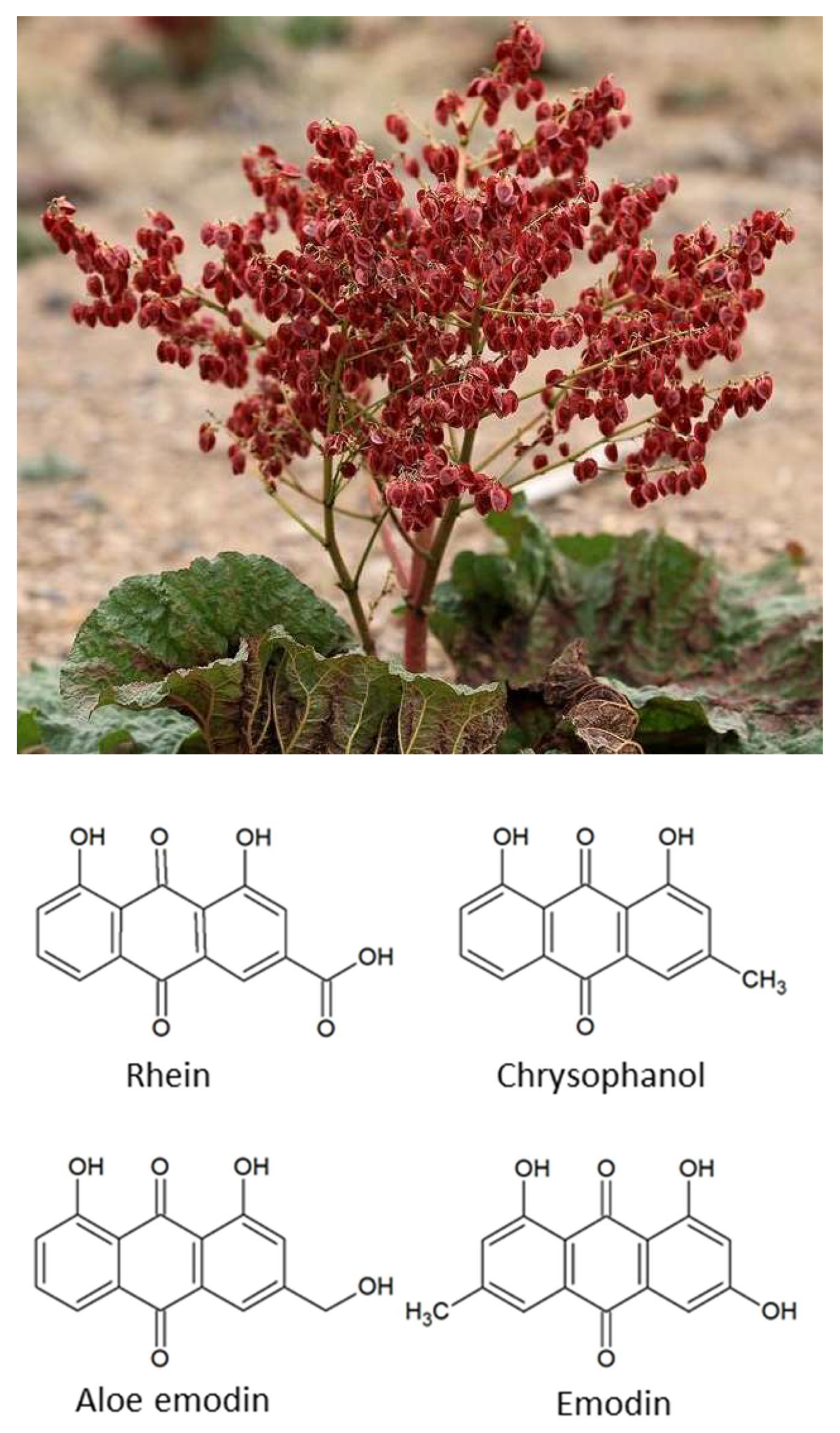 Sustainability 15 09232 g001