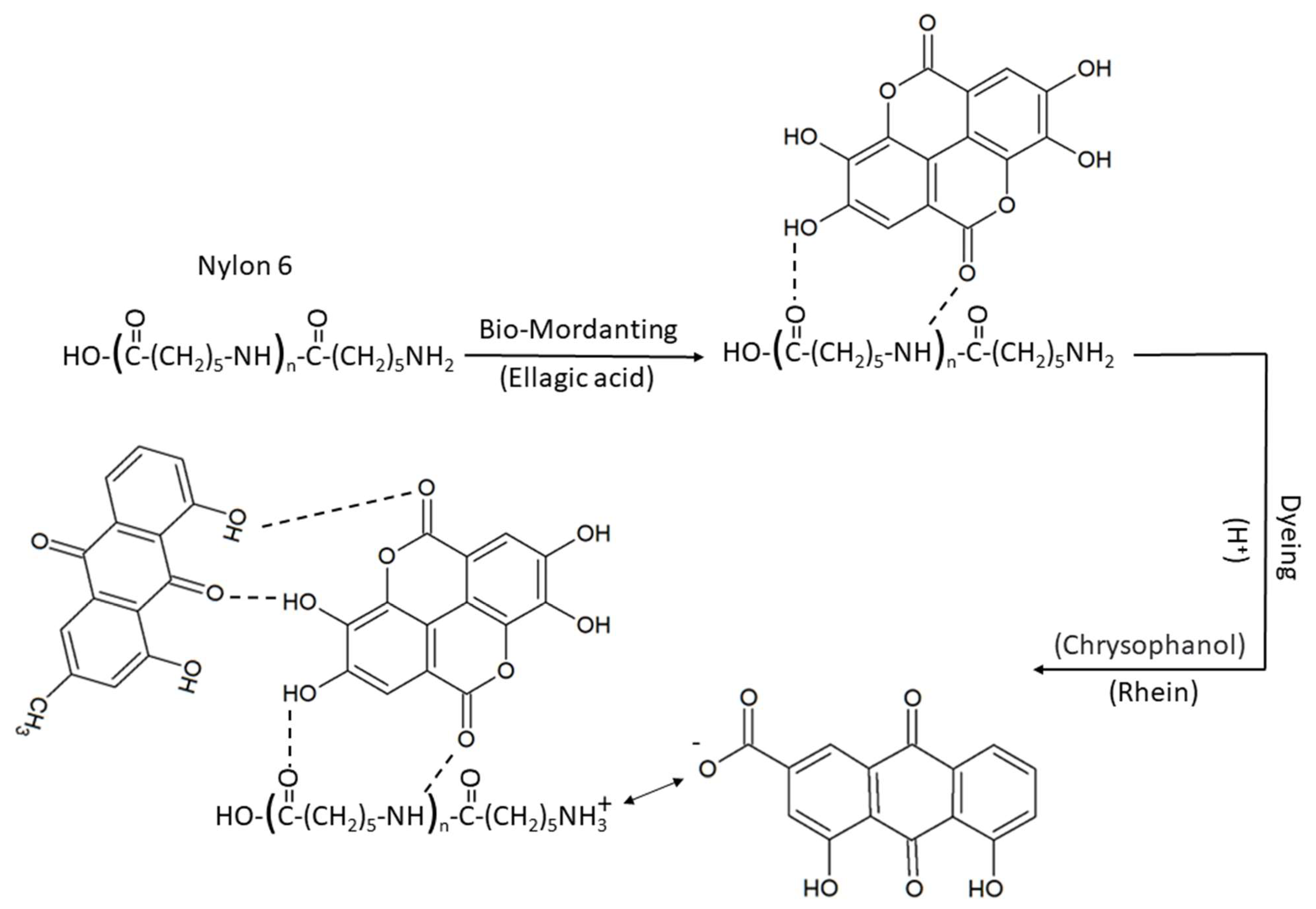 Sustainability 15 09232 sch002