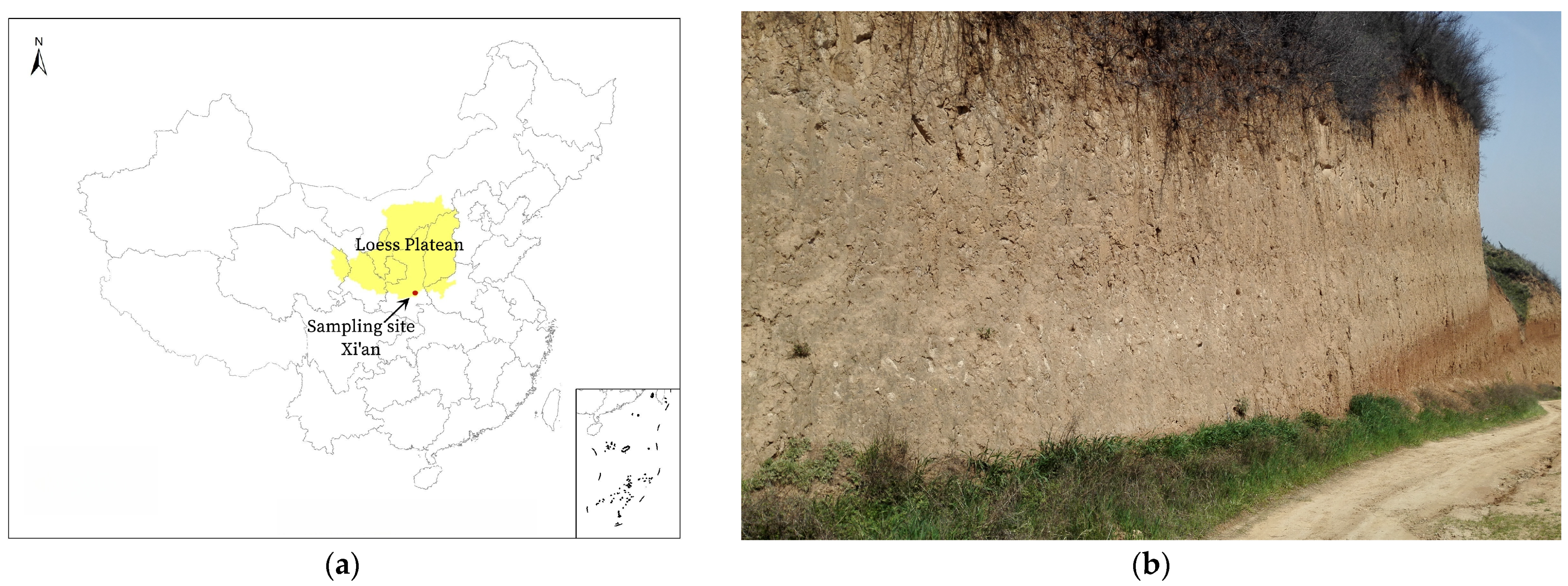 Sustainability 15 09280 g003 Sustainability 15 09280 g003