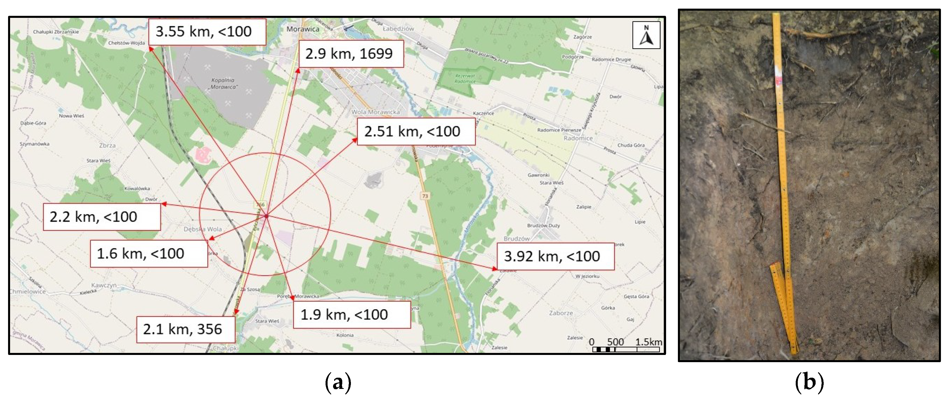 Sustainability 15 09288 g002
