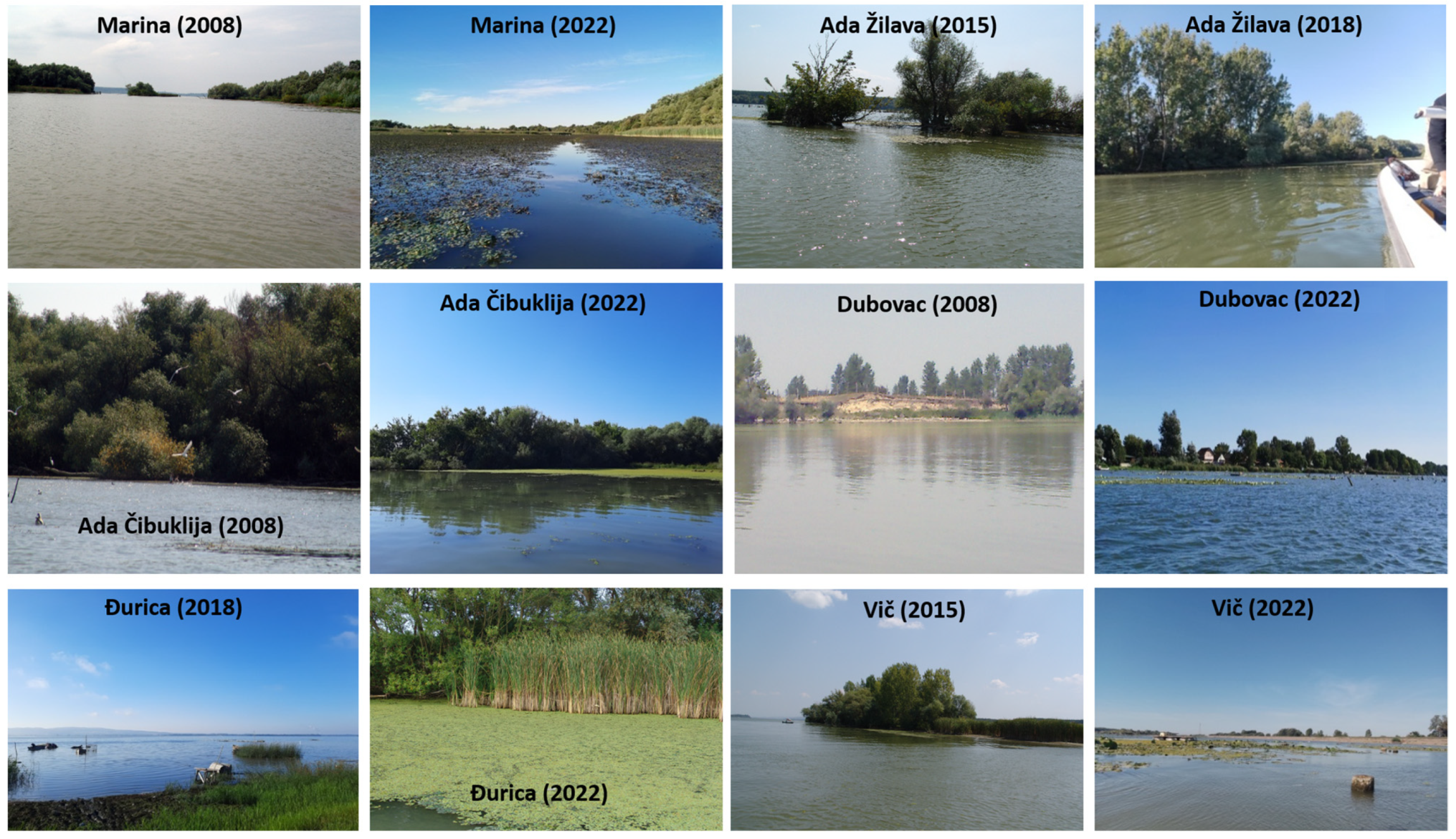 Sustainability 15 09303 g006 Sustainability 15 09303 g006