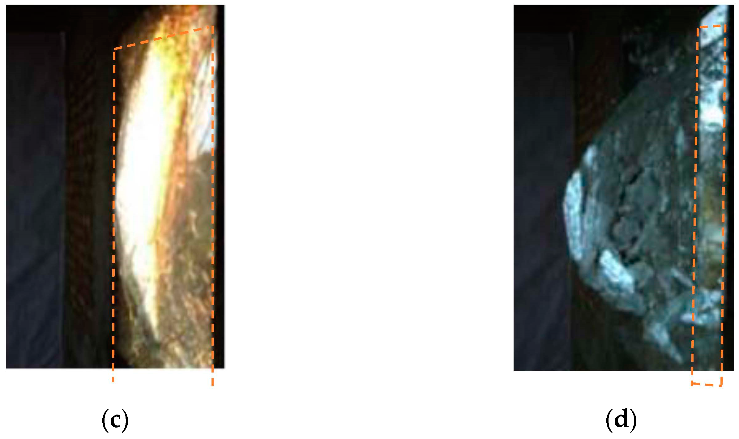 Sustainability 15 09325 g004b