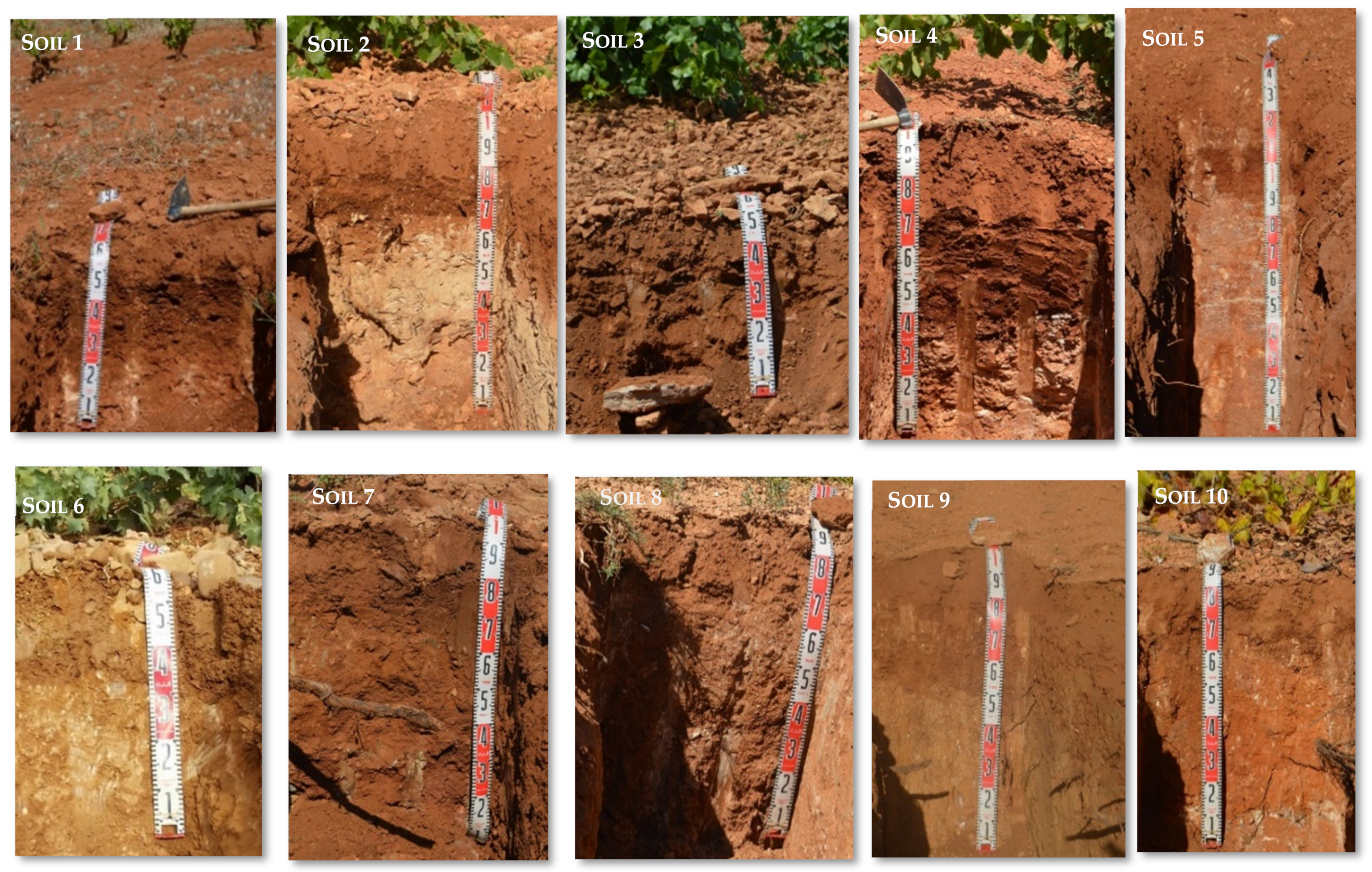 Sustainability 15 09339 g003 Sustainability 15 09339 g003