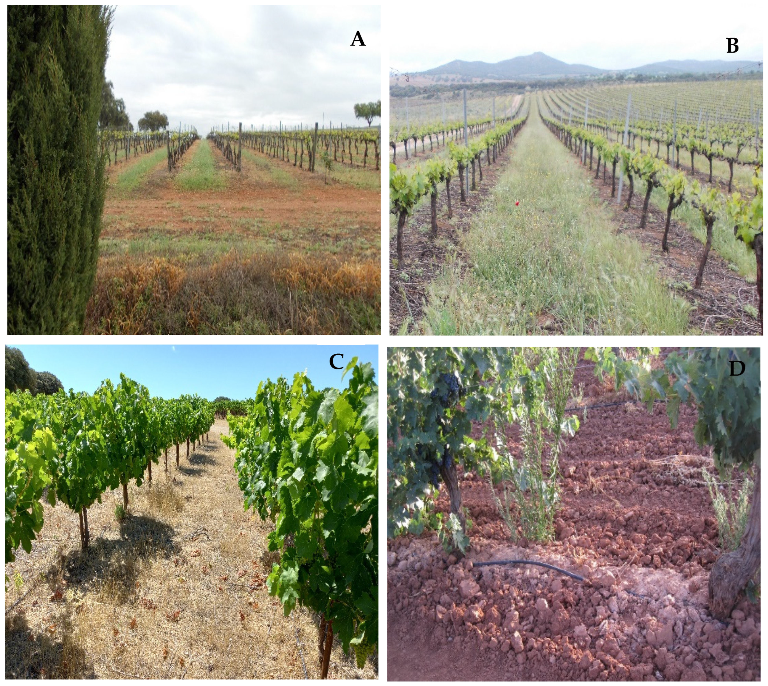 Sustainability 15 09339 g004a Sustainability 15 09339 g004a