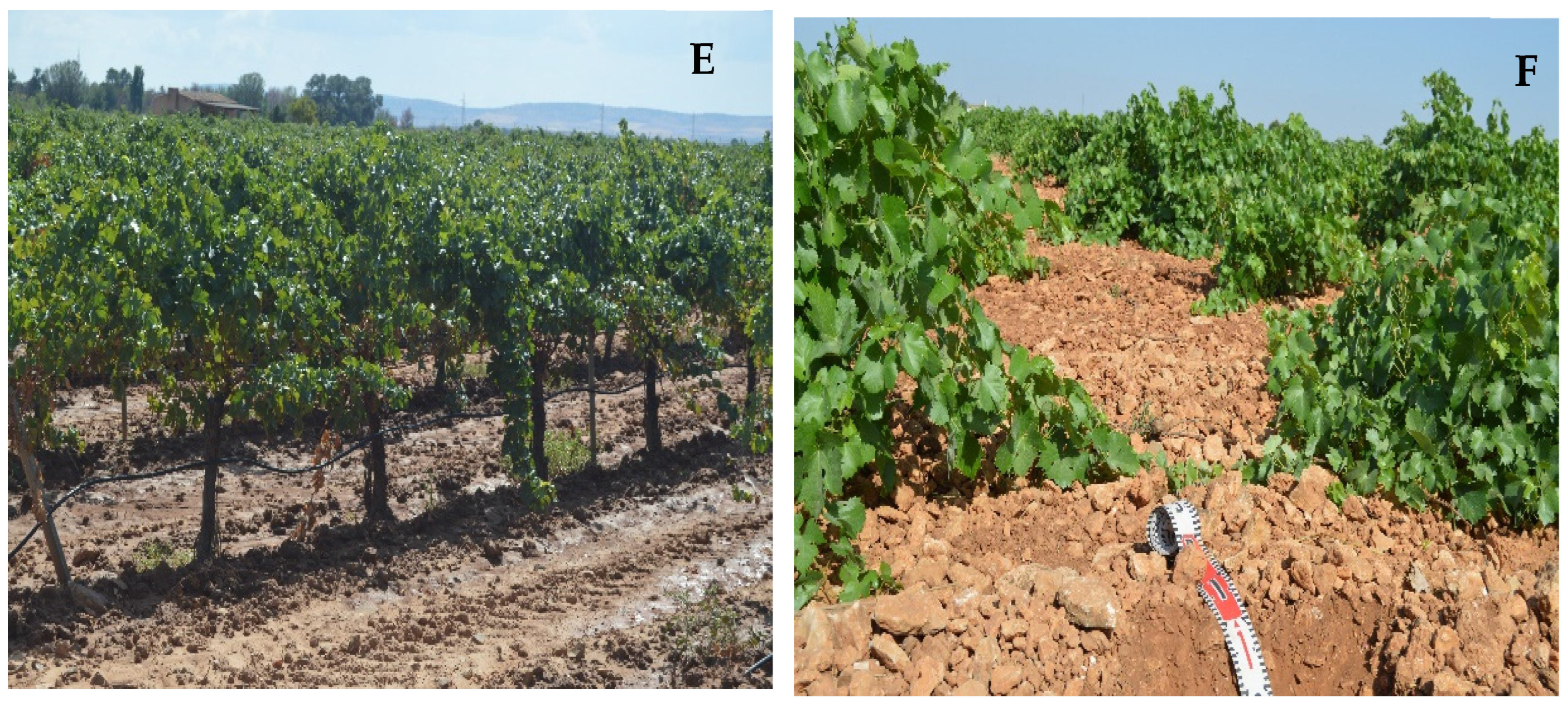 Sustainability 15 09339 g004b Sustainability 15 09339 g004b