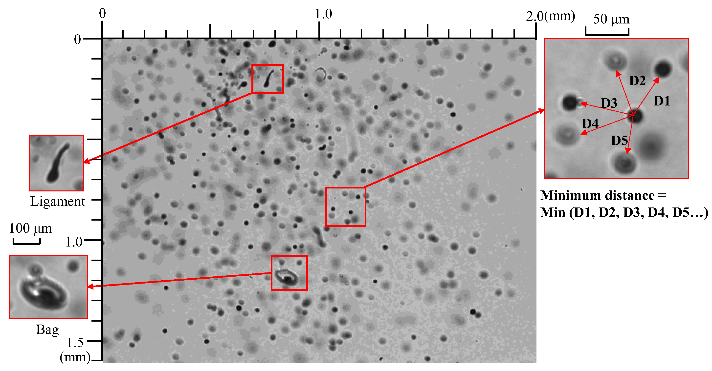 Sustainability 15 09356 g006