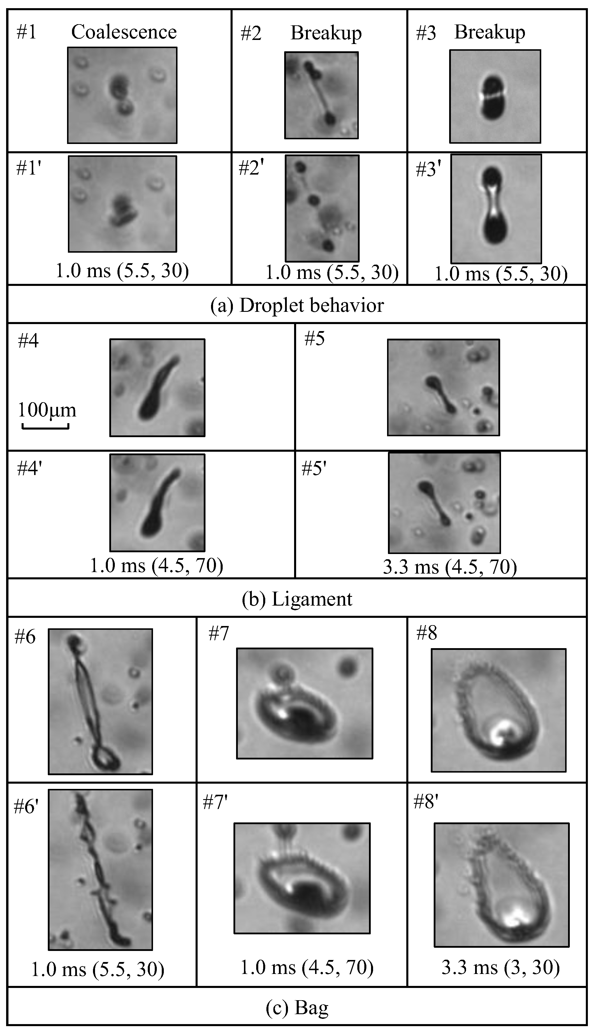 Sustainability 15 09356 g007