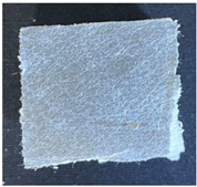 Sustainability 15 09373 i001 Sustainability 15 09373 i001