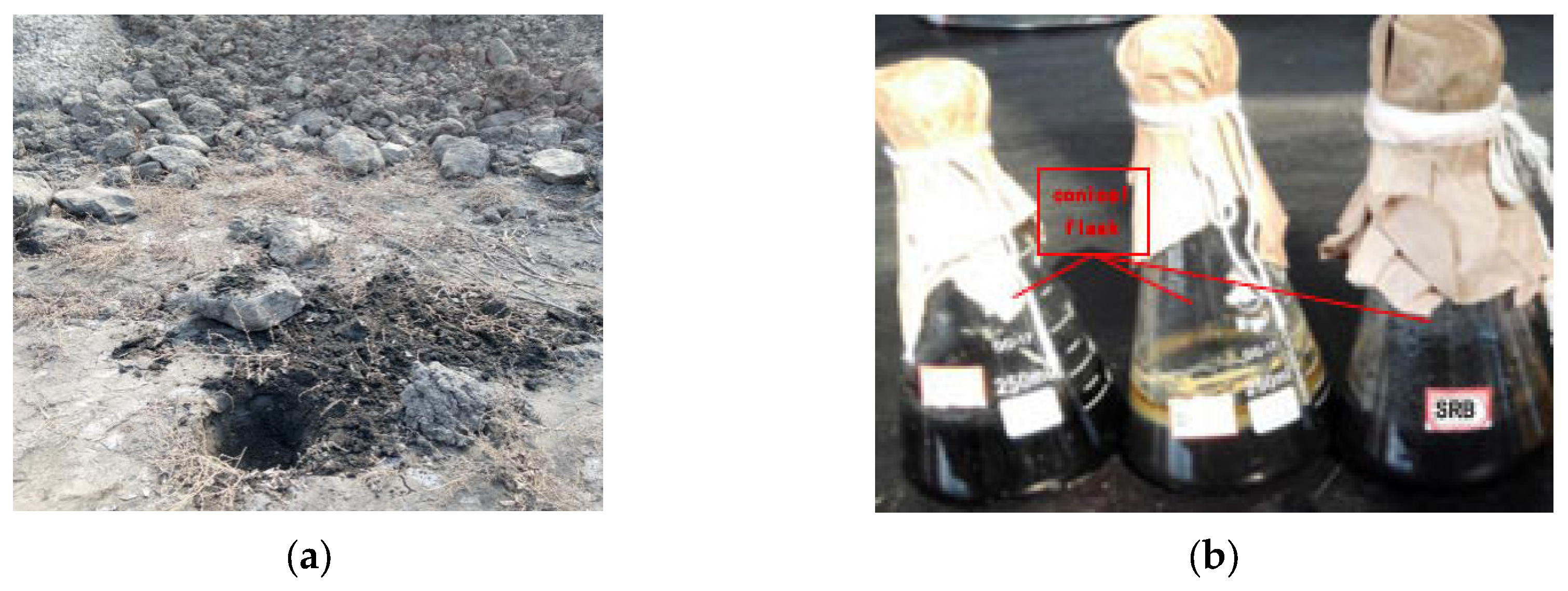 Sustainability 15 09375 g001