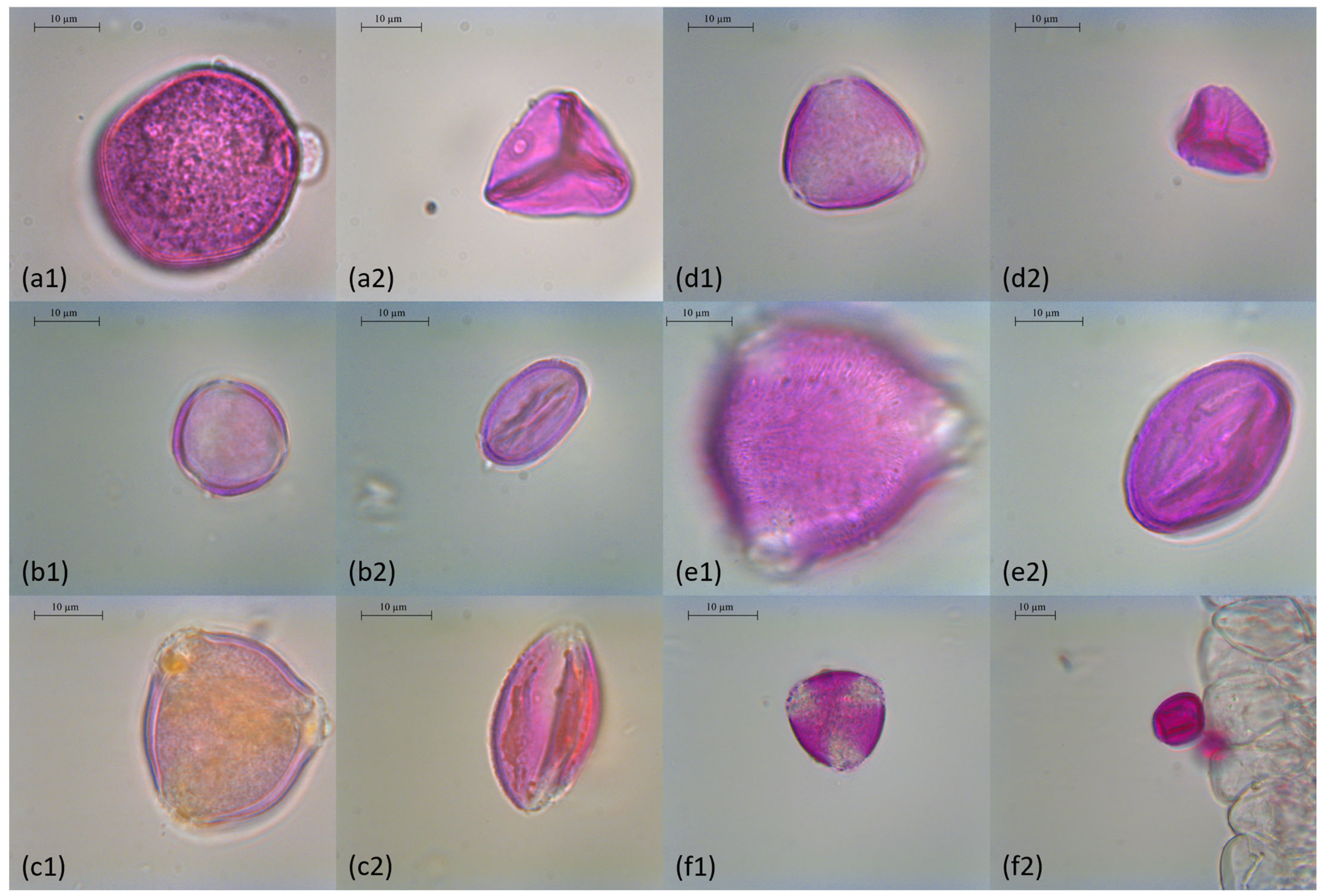 Sustainability 15 09414 g006 Sustainability 15 09414 g006