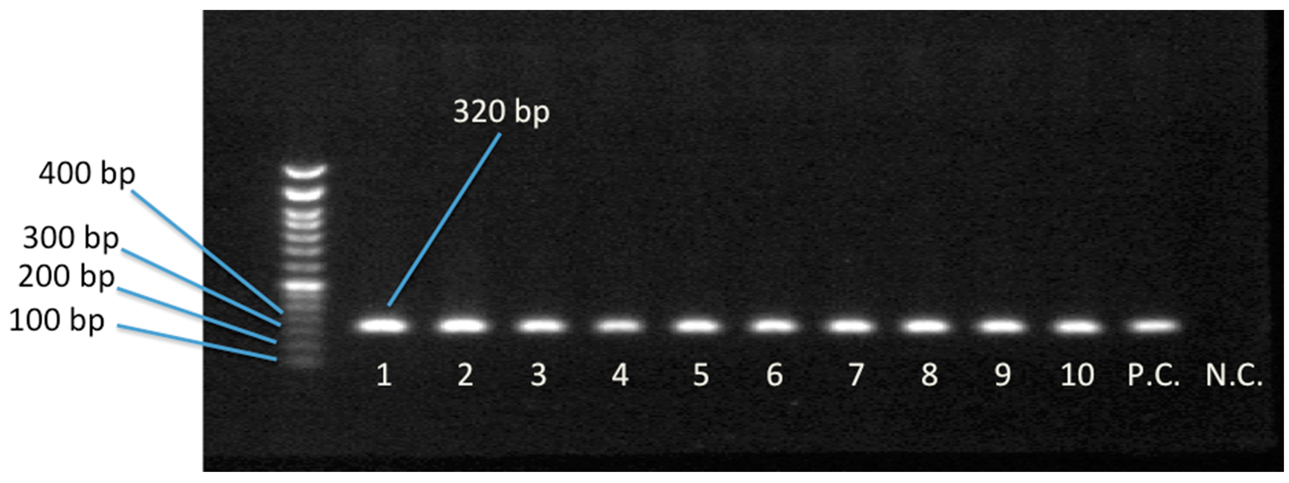 Sustainability 15 09421 g001
