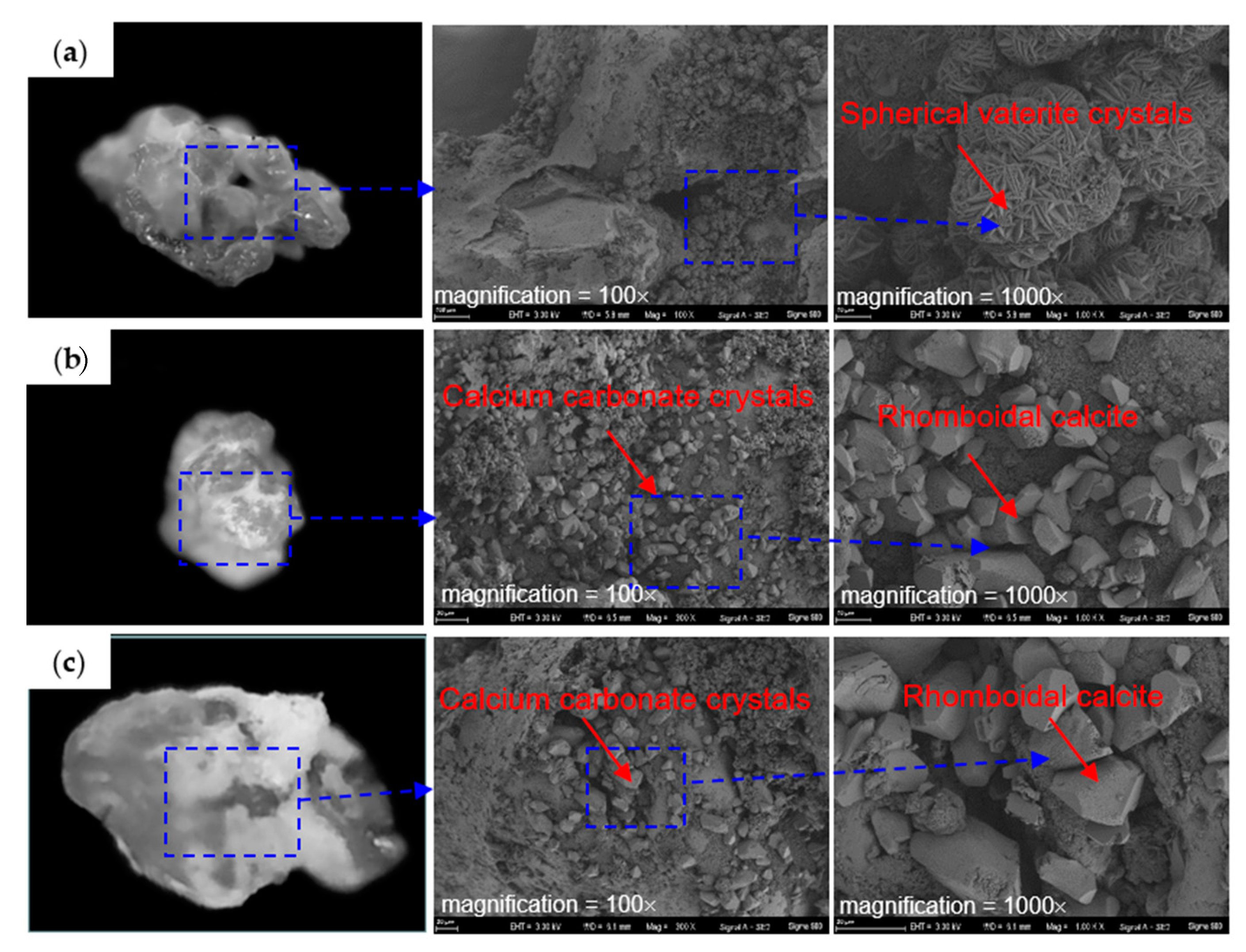 Sustainability 15 09432 g013