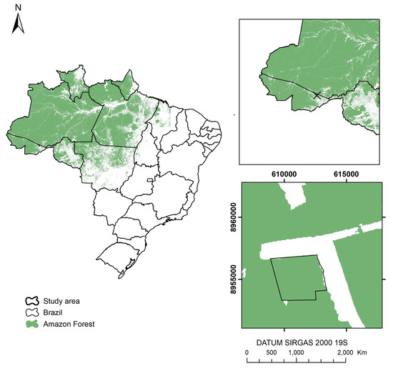 Machine Learning: Volume and Biomass Estimates of Commercial Trees 