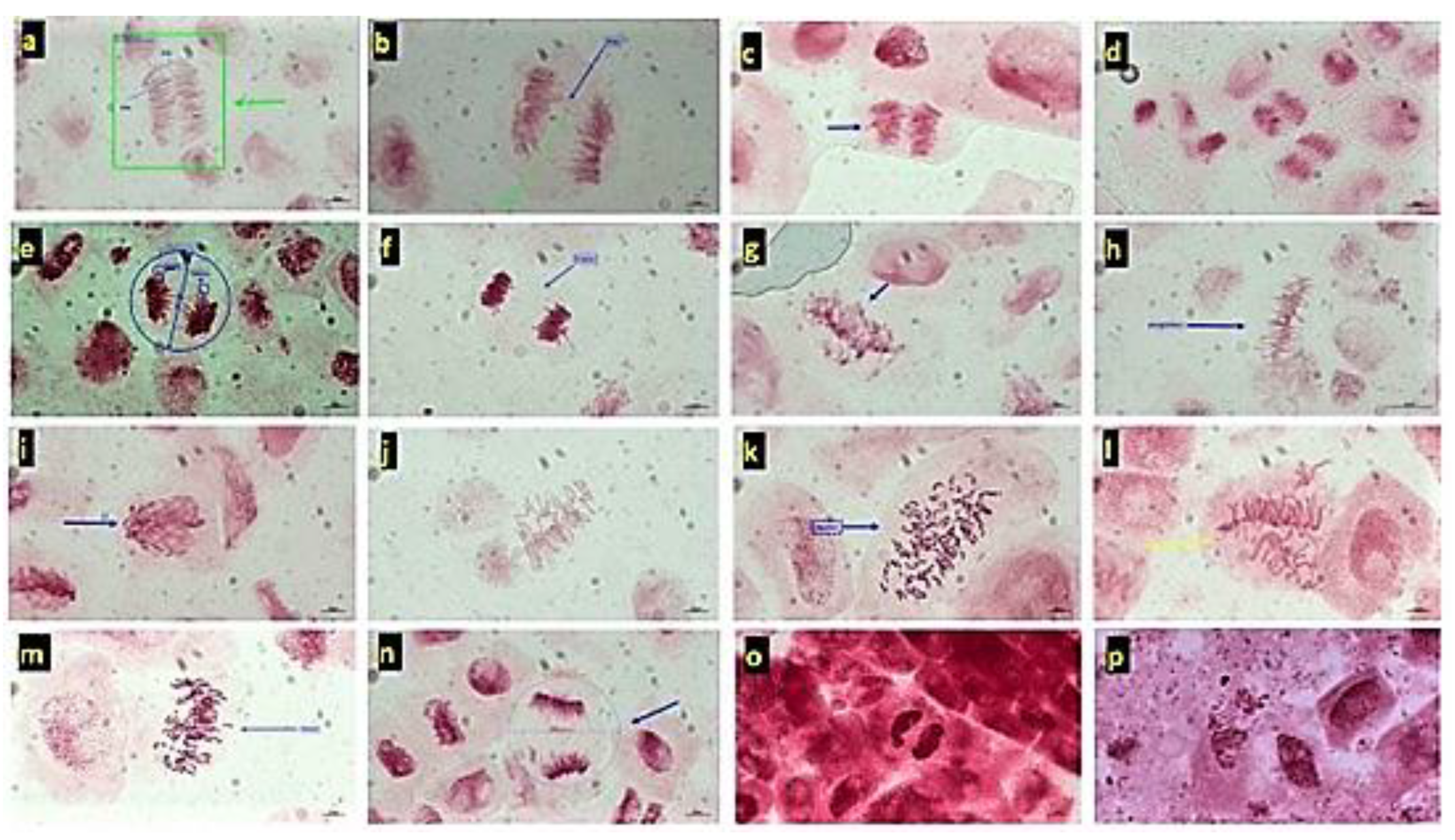 Sustainability 15 09505 g004