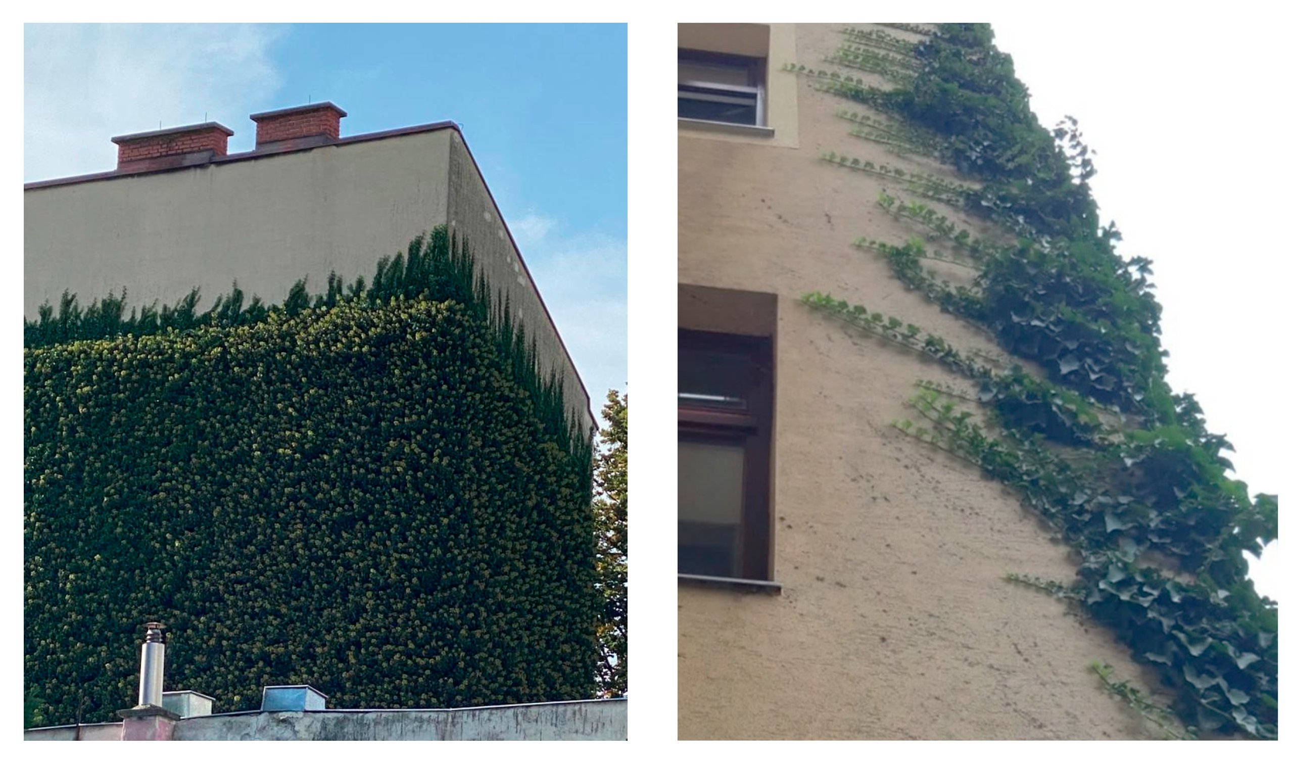 Sustainability 15 09546 g004