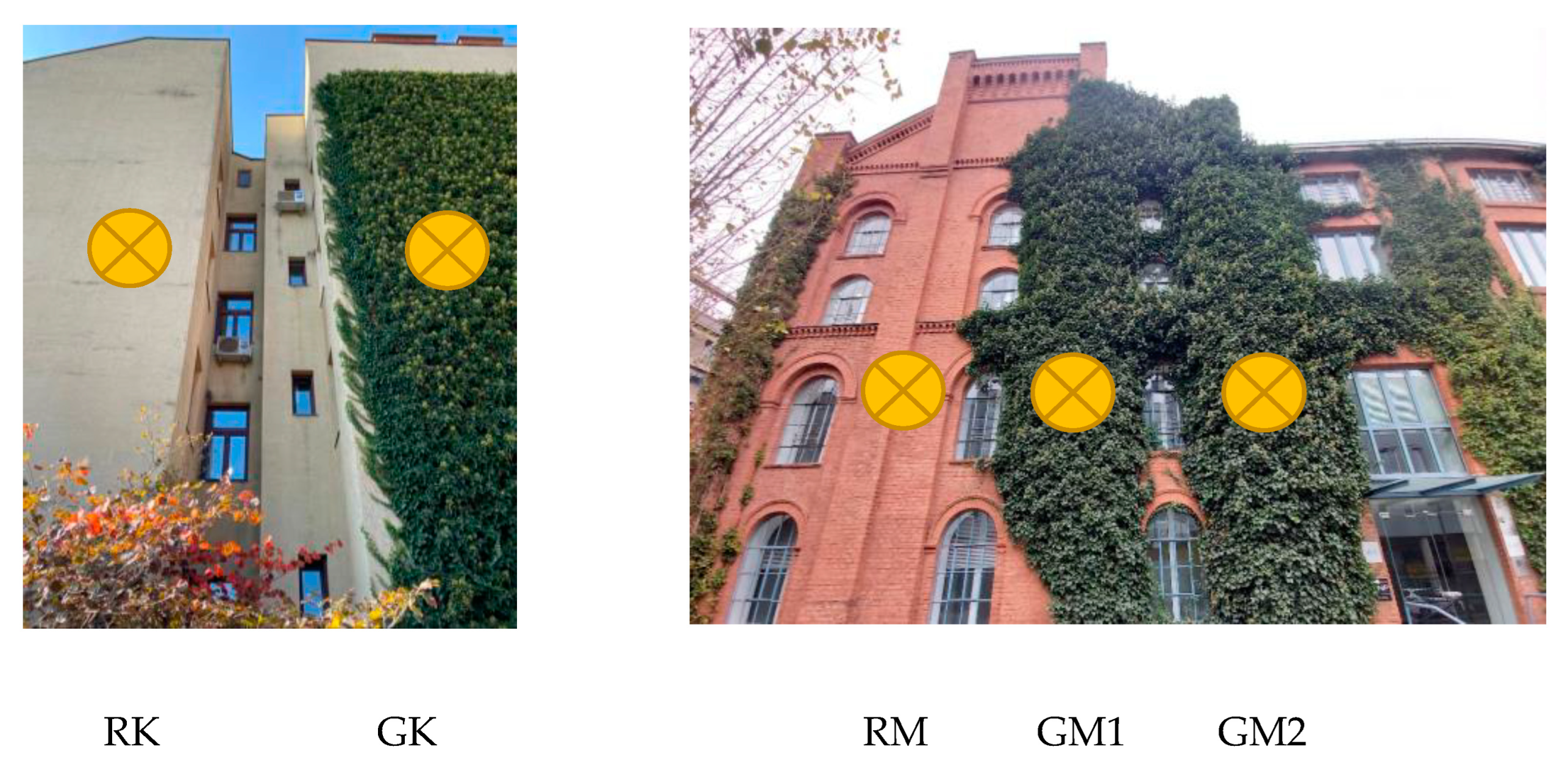 Sustainability 15 09546 g006