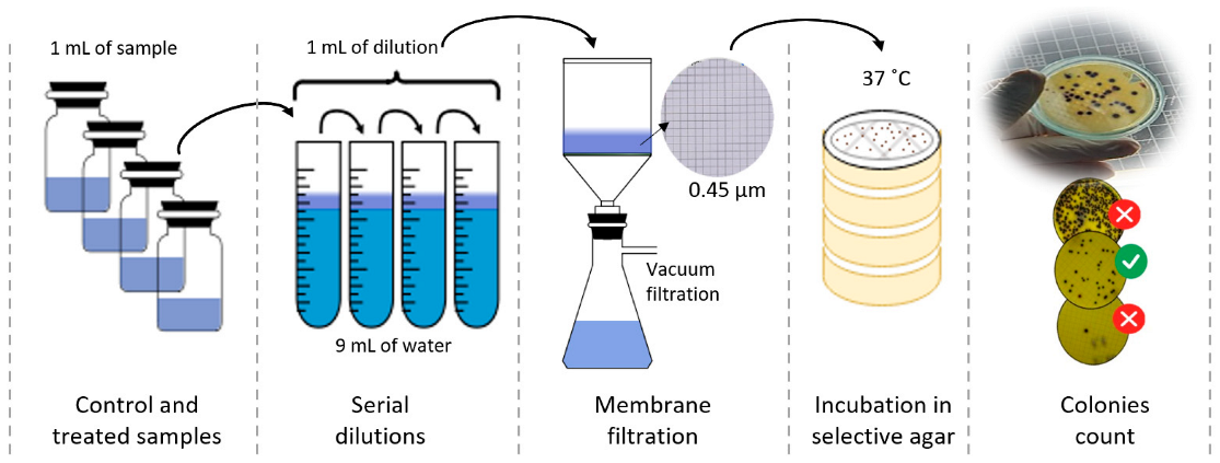 Sustainability 15 09559 g002