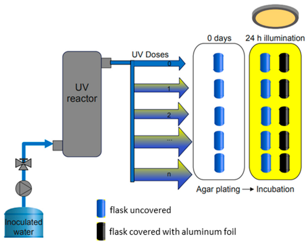 Sustainability 15 09559 g004