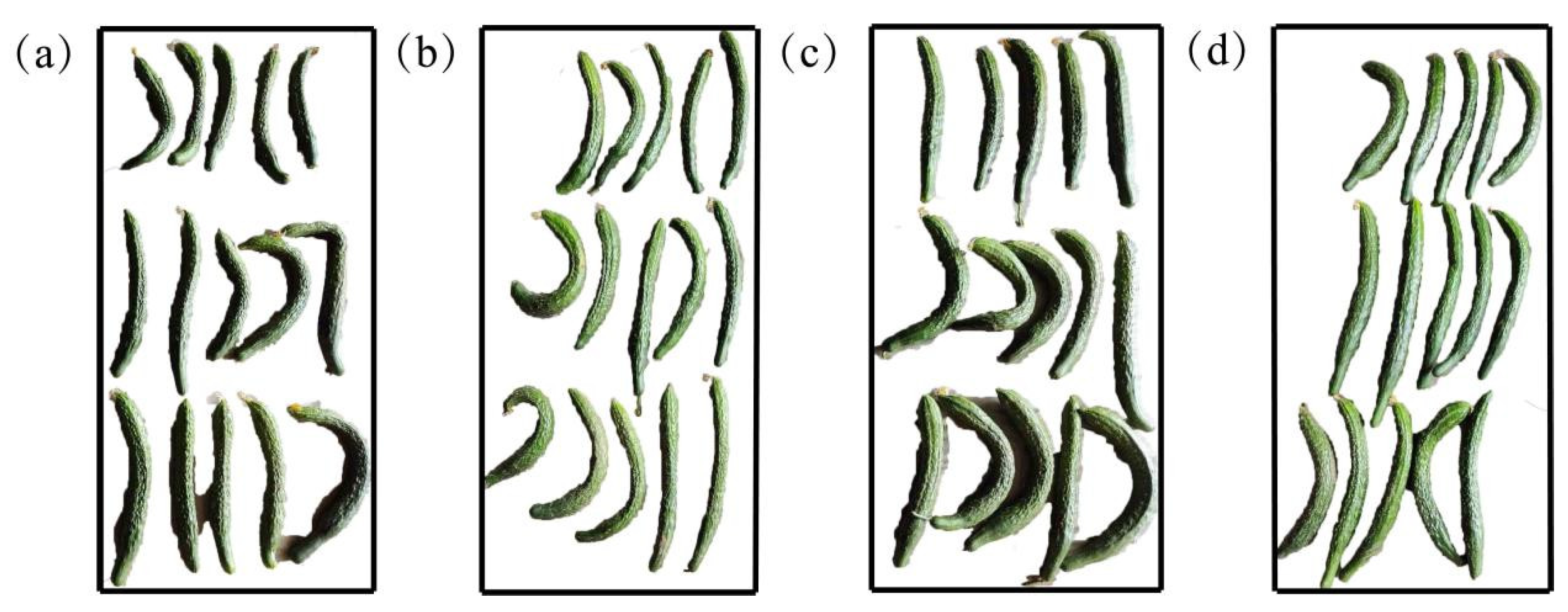 Sustainability 15 09563 g001