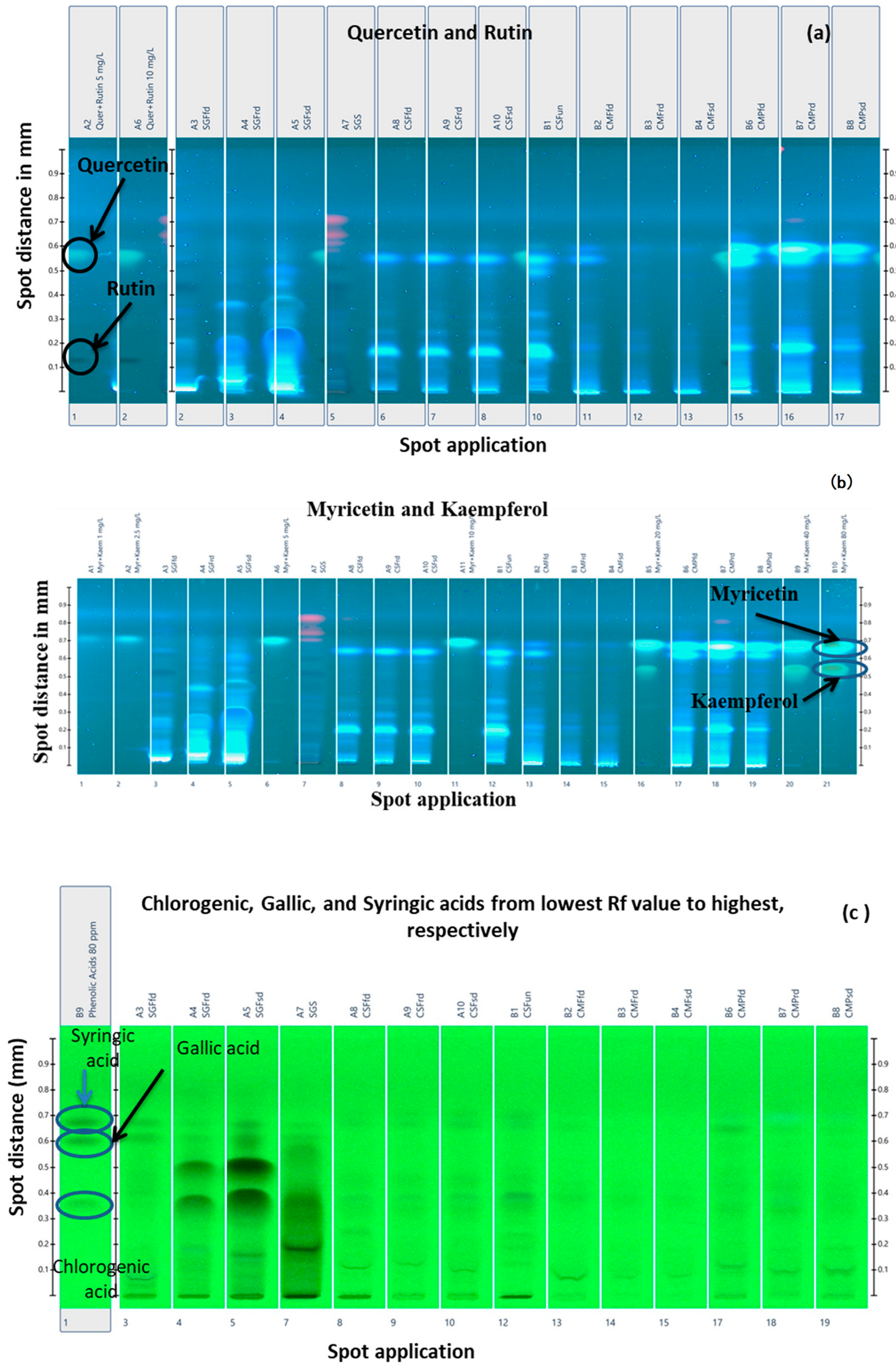 Sustainability 15 09568 g001 Sustainability 15 09568 g001