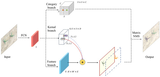 Maize Seedling Leave Counting Based on Semi-Supervised