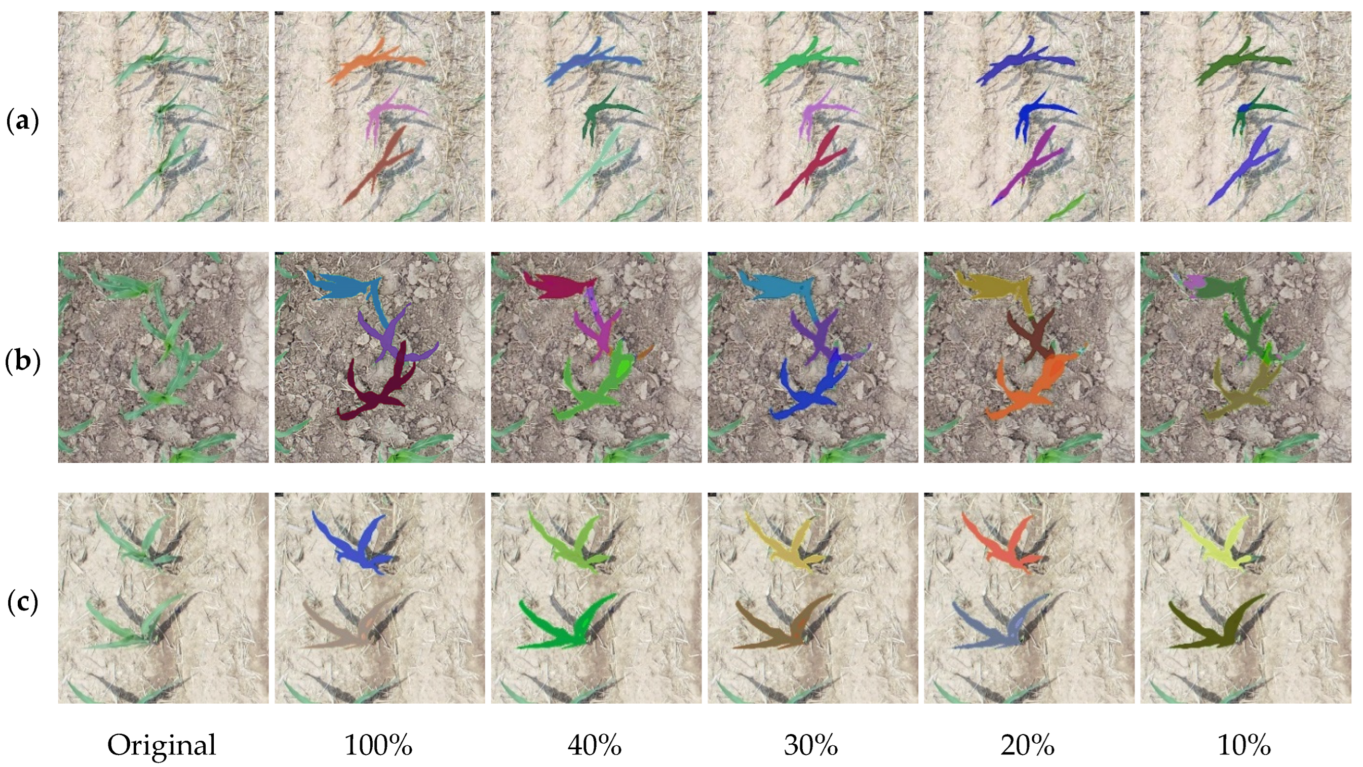 Sustainability 15 09583 g006