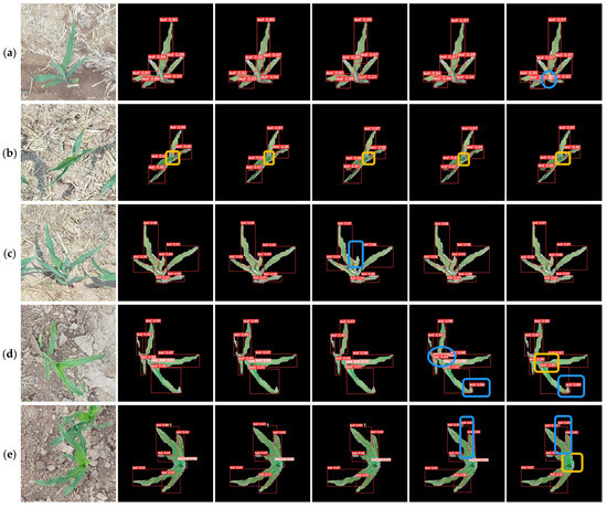 Maize Seedling Leave Counting Based on Semi-Supervised