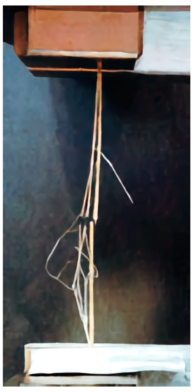 Sustainability 15 09610 g003 Sustainability 15 09610 g003