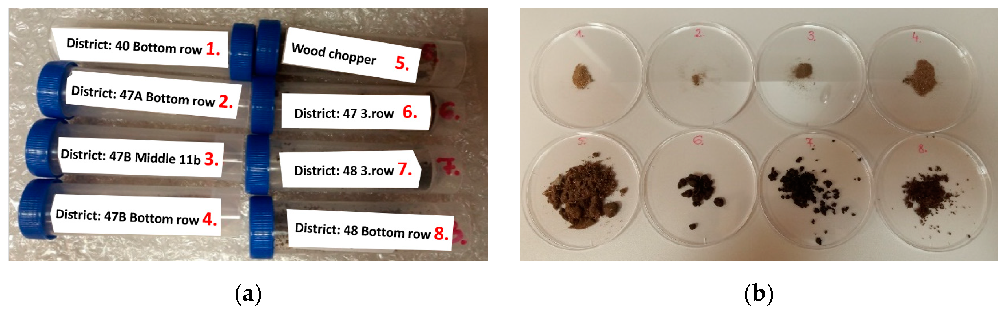 Sustainability 15 09615 g011