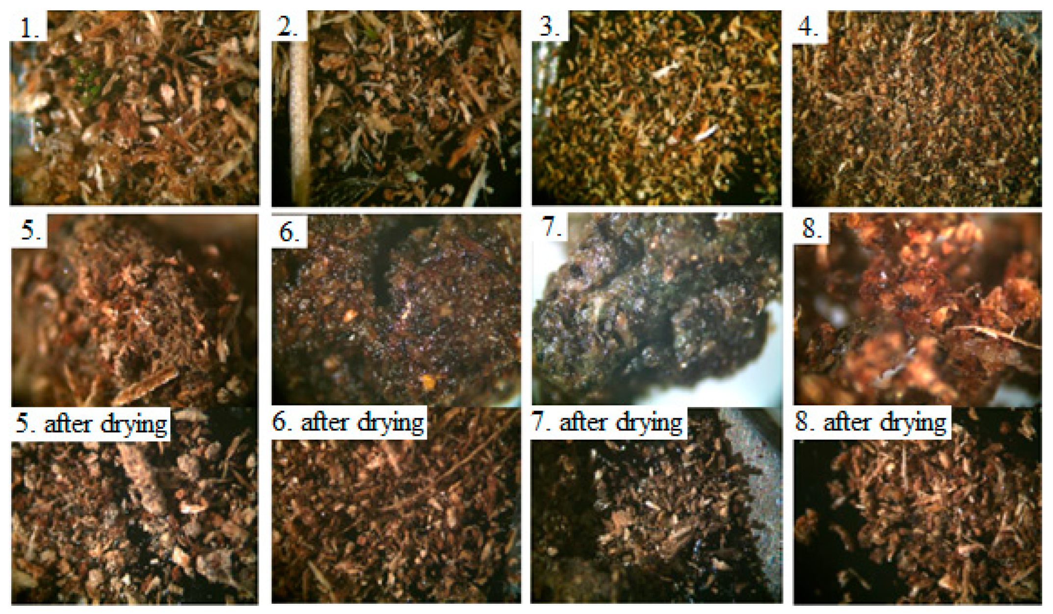 Sustainability 15 09615 g012