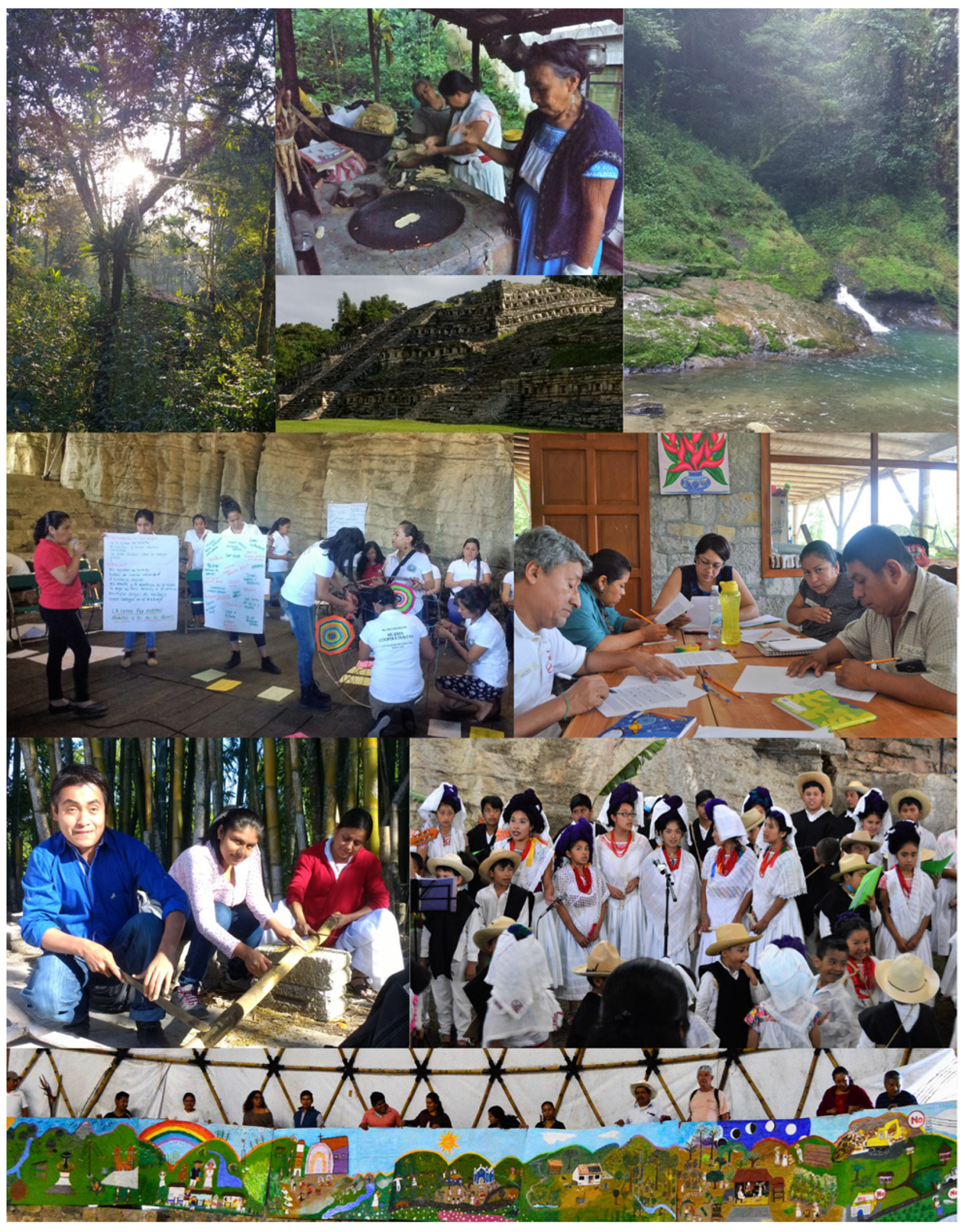 Sustainability 15 09626 g002