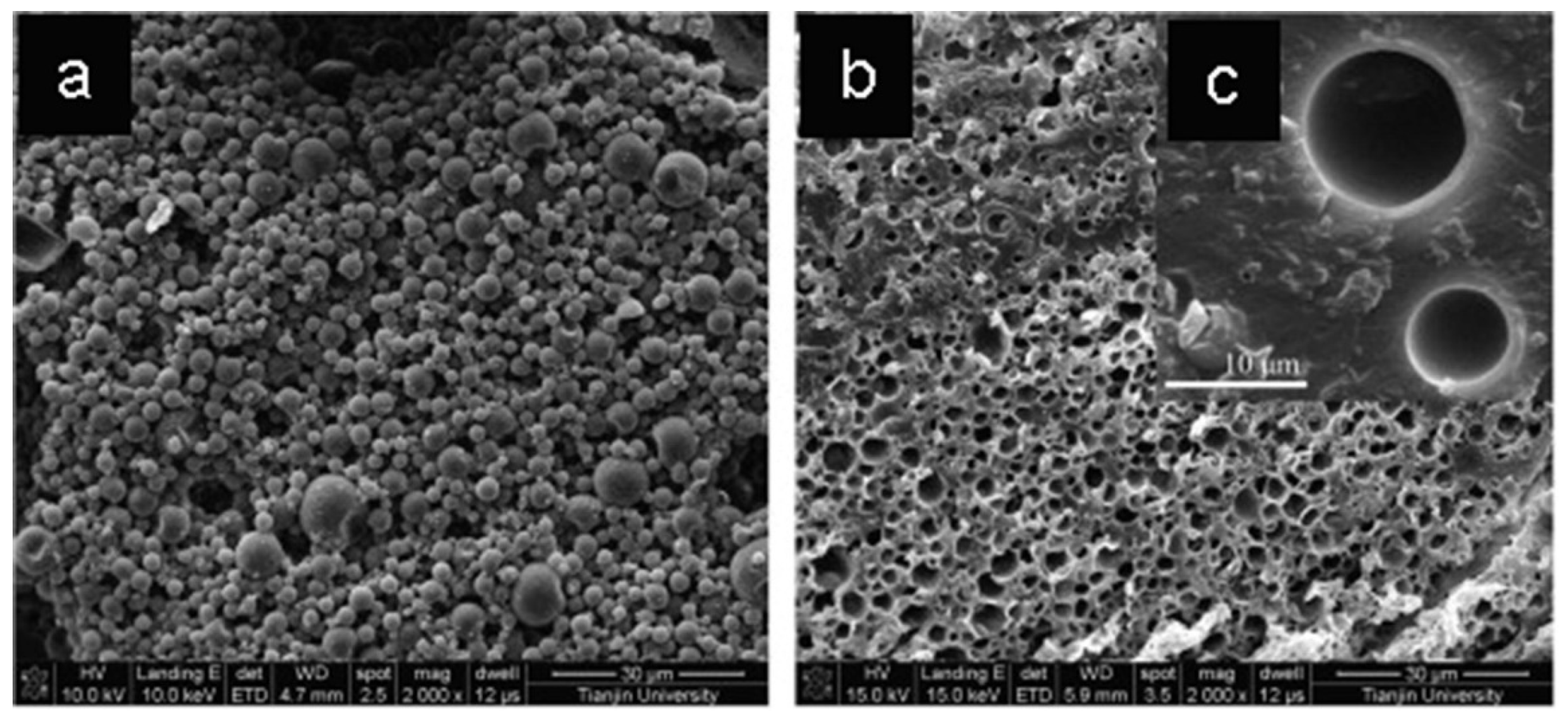 Sustainability 15 09659 g005 Sustainability 15 09659 g005