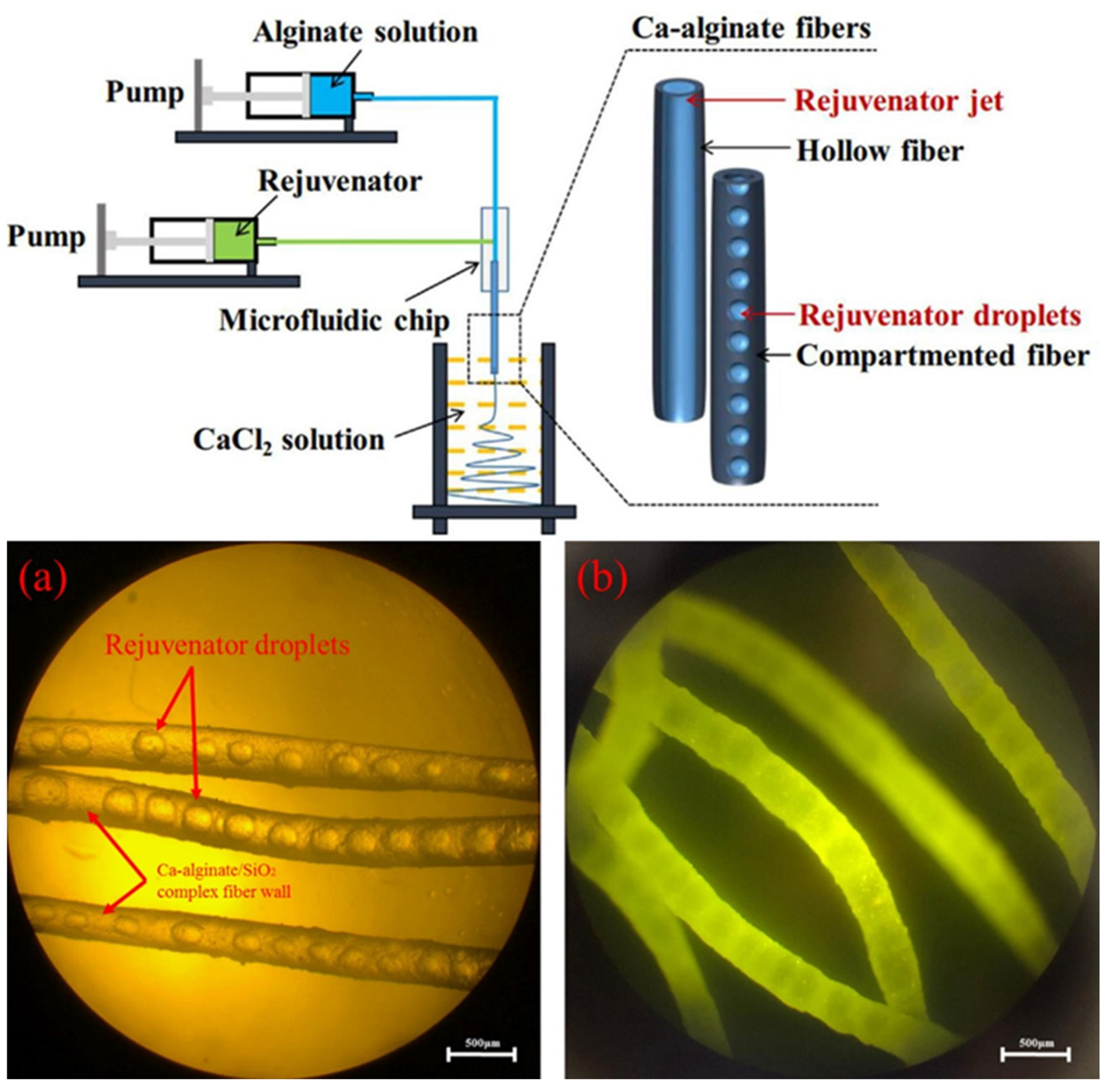 Sustainability 15 09659 g010 Sustainability 15 09659 g010