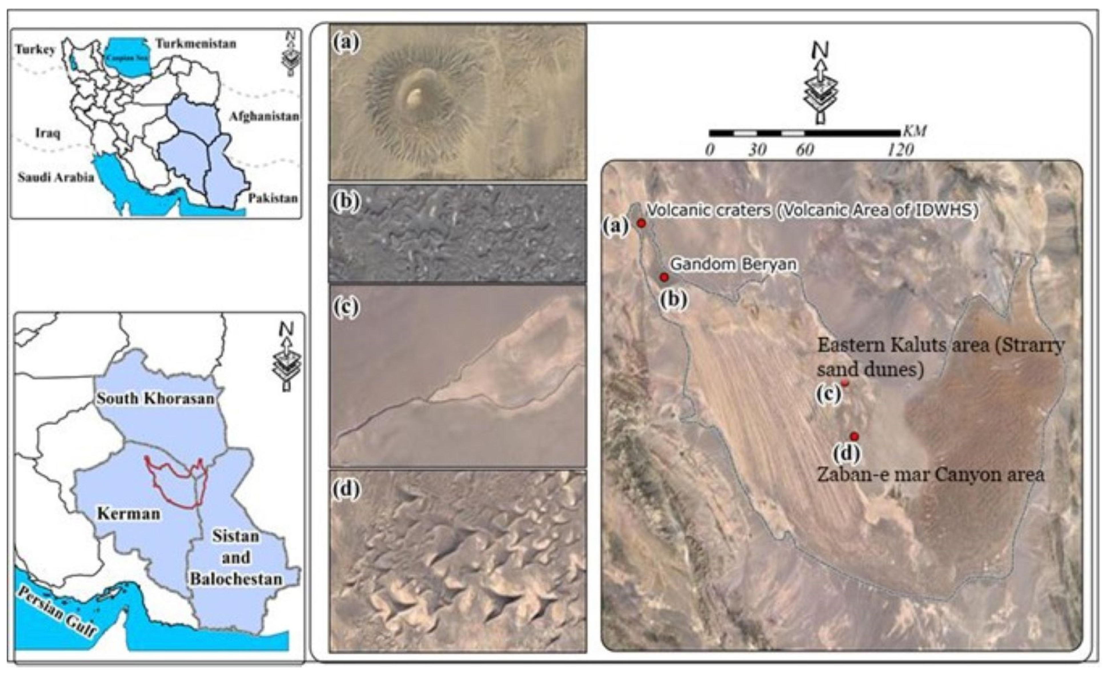 Sustainability 15 09677 g002
