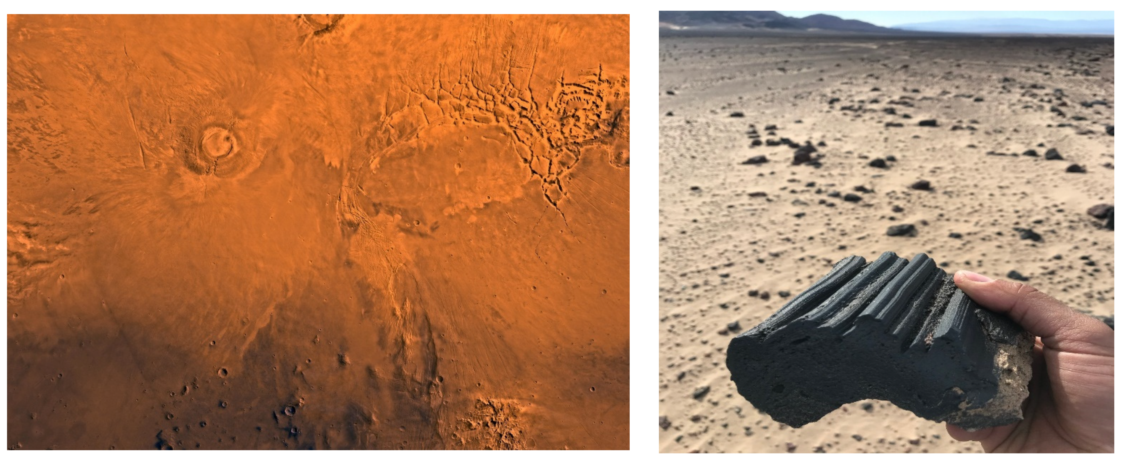 Sustainability 15 09677 g009