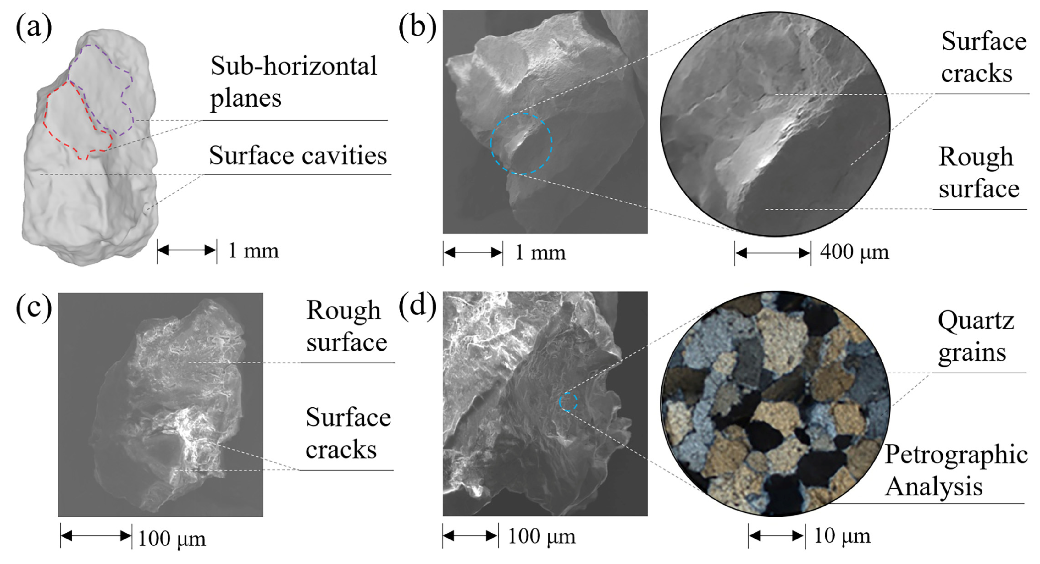 Sustainability 15 09705 g002 Sustainability 15 09705 g002
