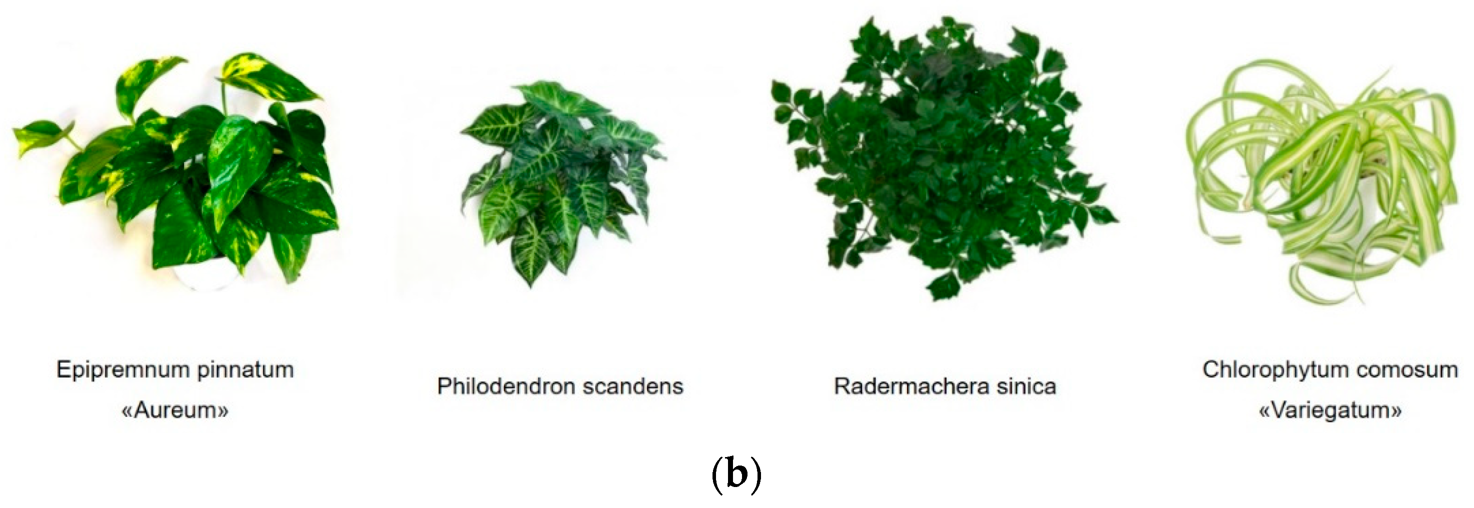 Sustainability 15 09732 g003b