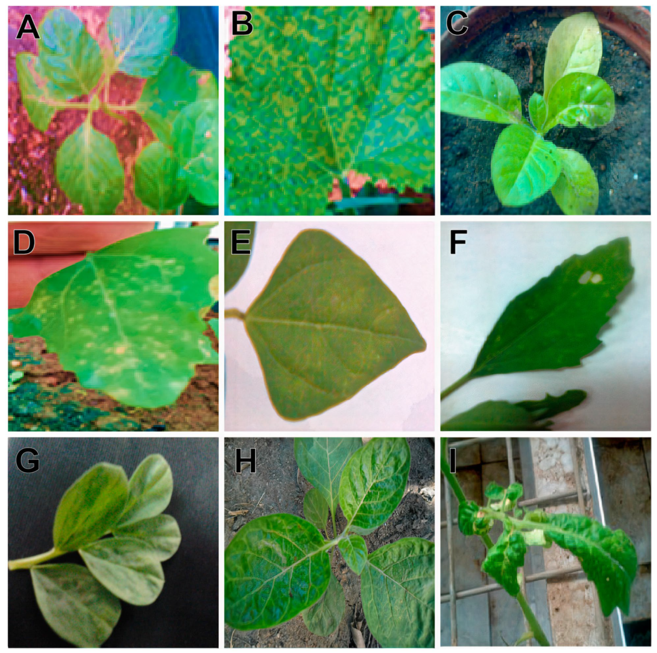 Sustainability 15 09751 g002 Sustainability 15 09751 g002