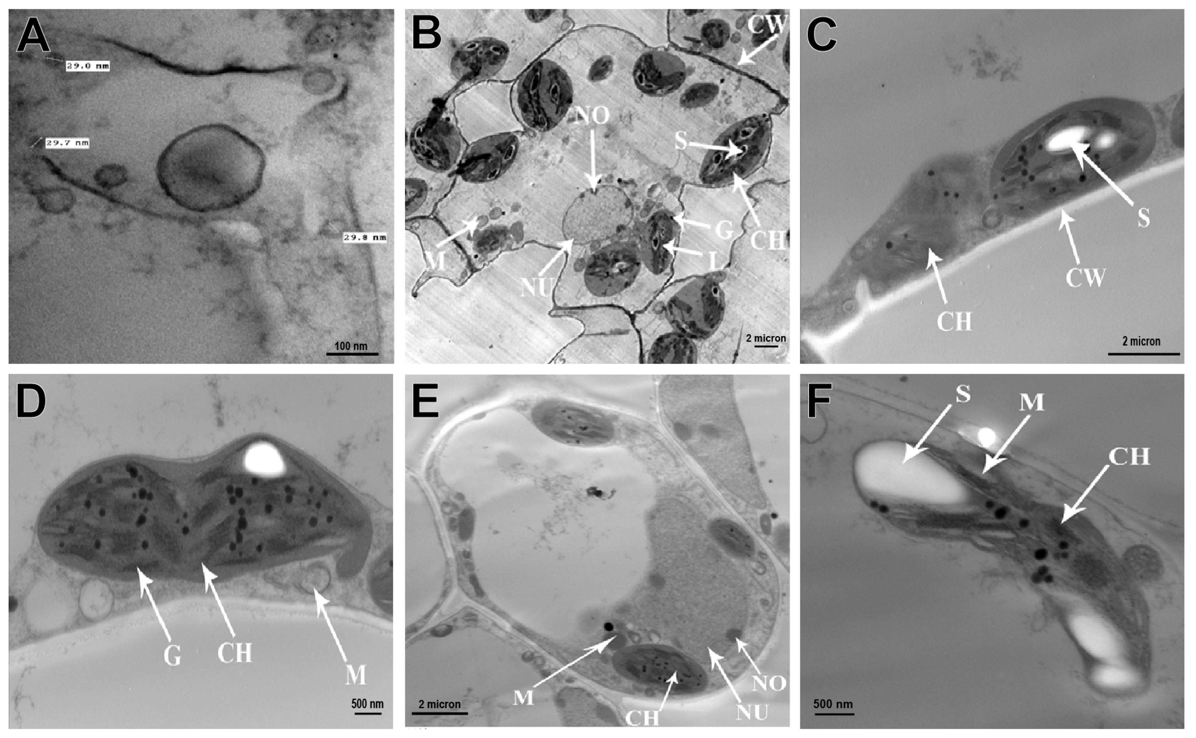 Sustainability 15 09751 g005 Sustainability 15 09751 g005