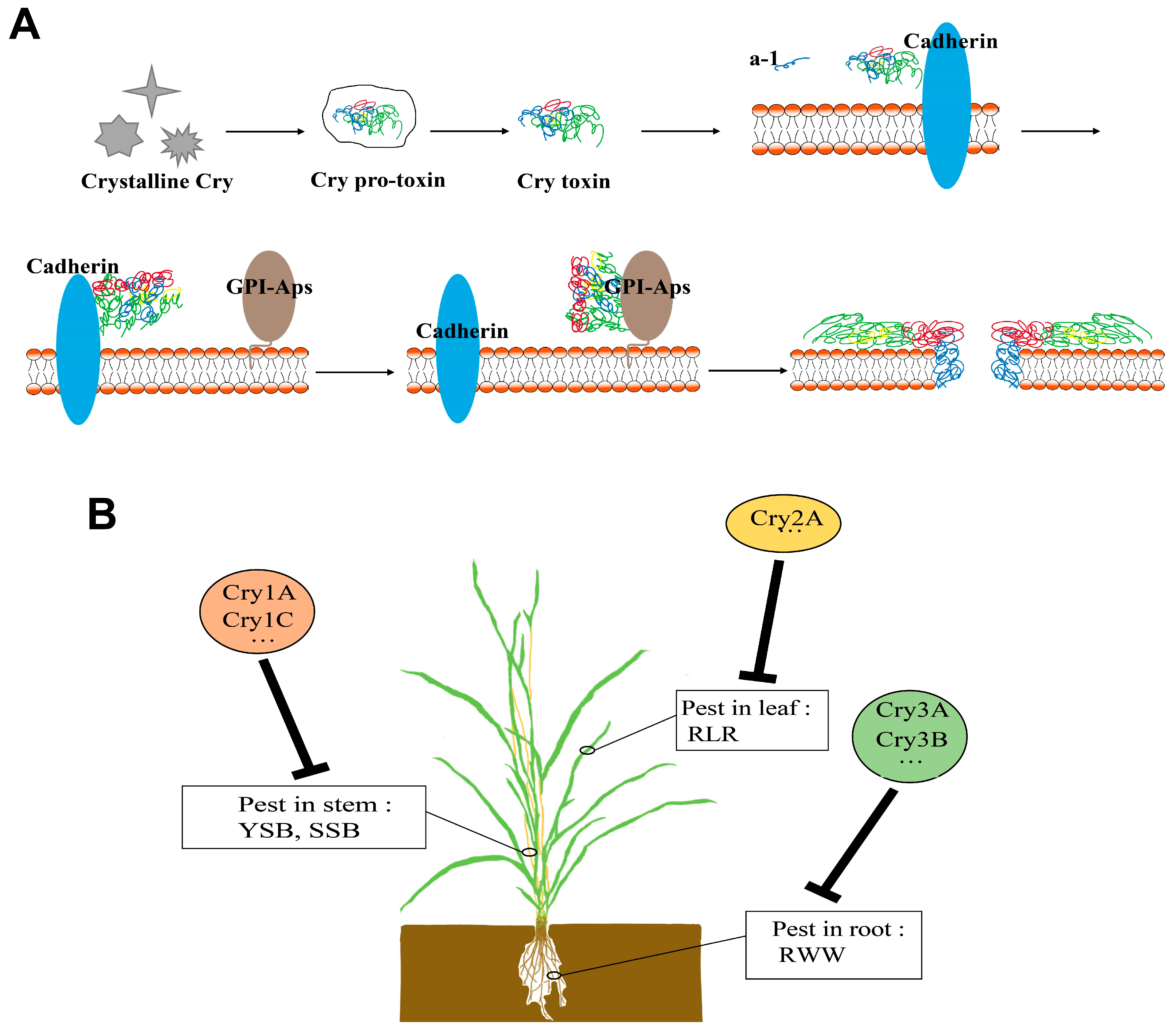 Sustainability 15 09779 g001 Sustainability 15 09779 g001