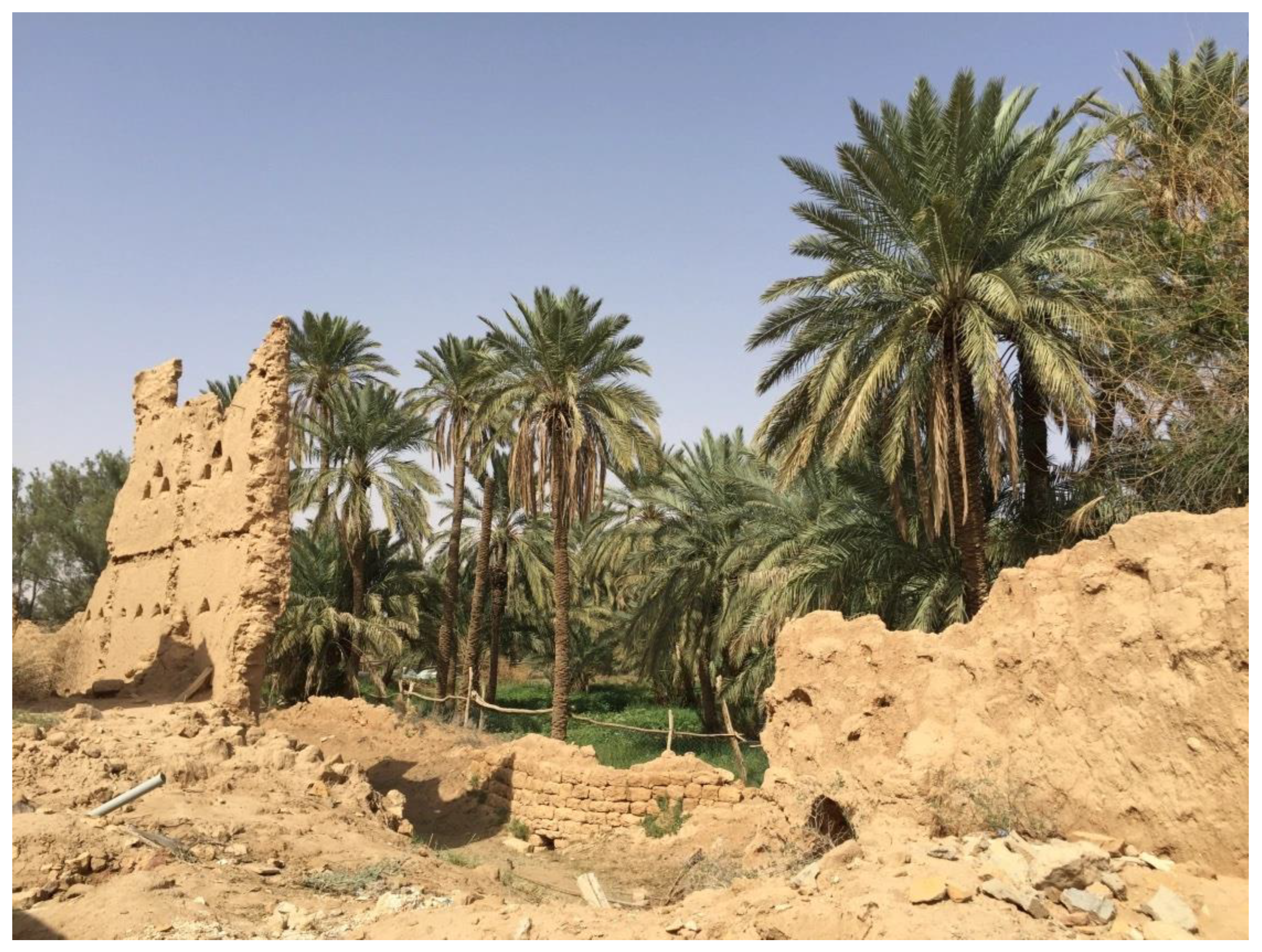 Sustainability 15 09819 g005